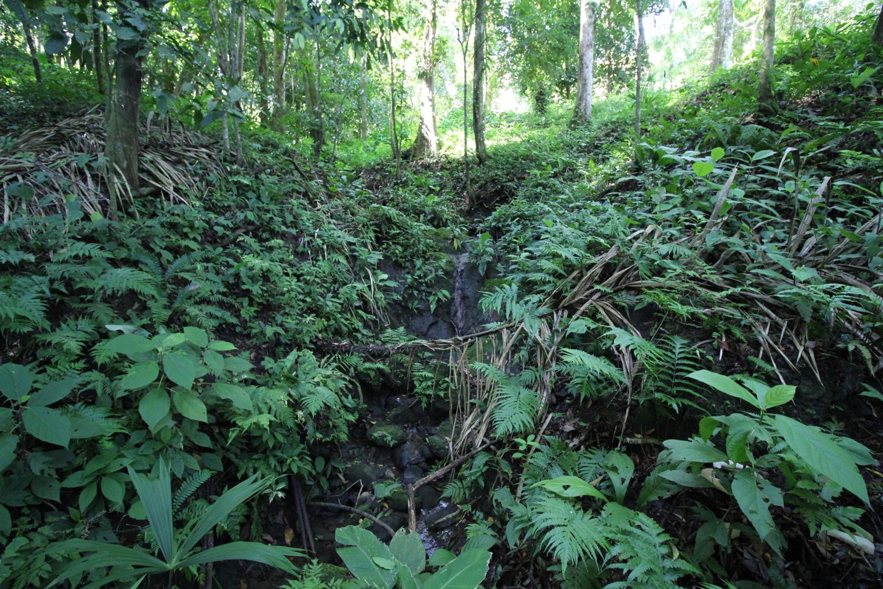 Teva Hotel & Jungle Reserve