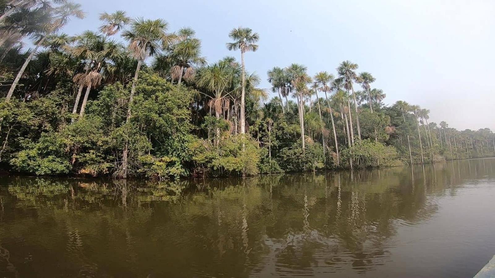 Ecolucerna Lodge Tambopata