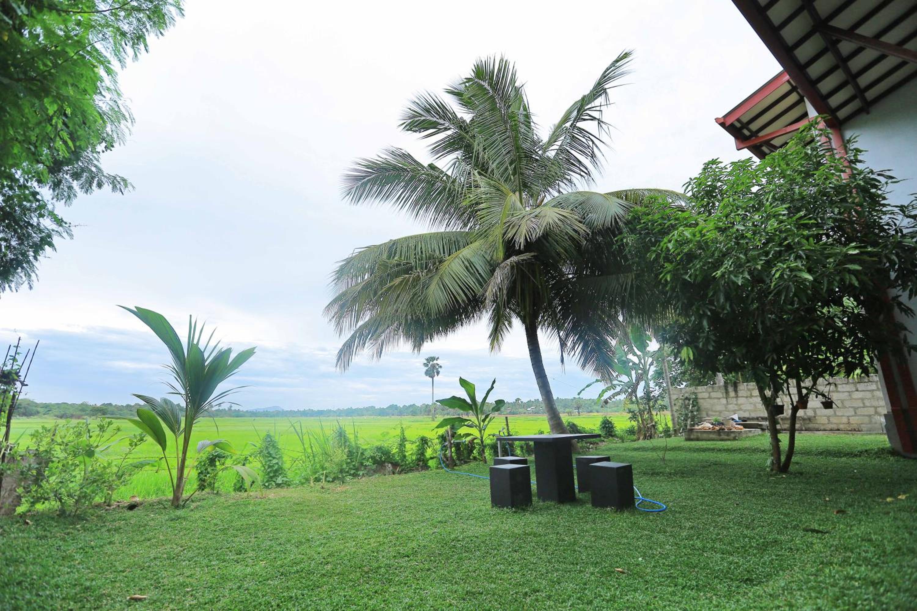 Serene View Tourist Rest view 3
