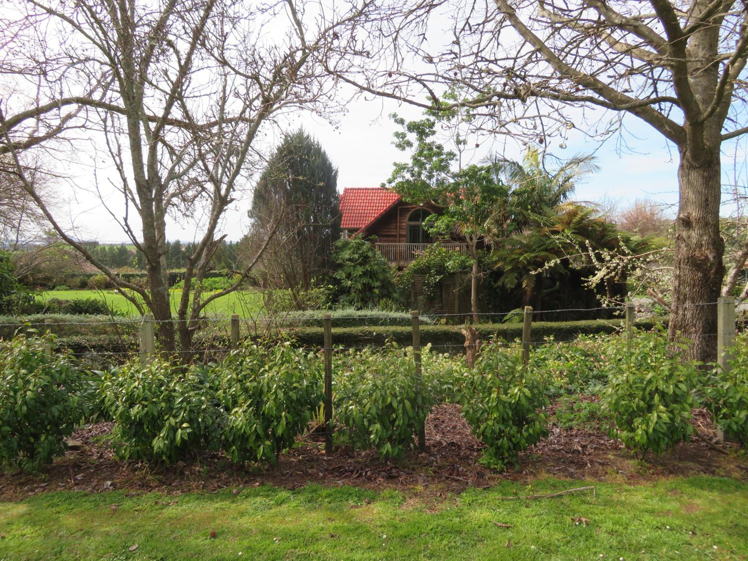 Photo 28