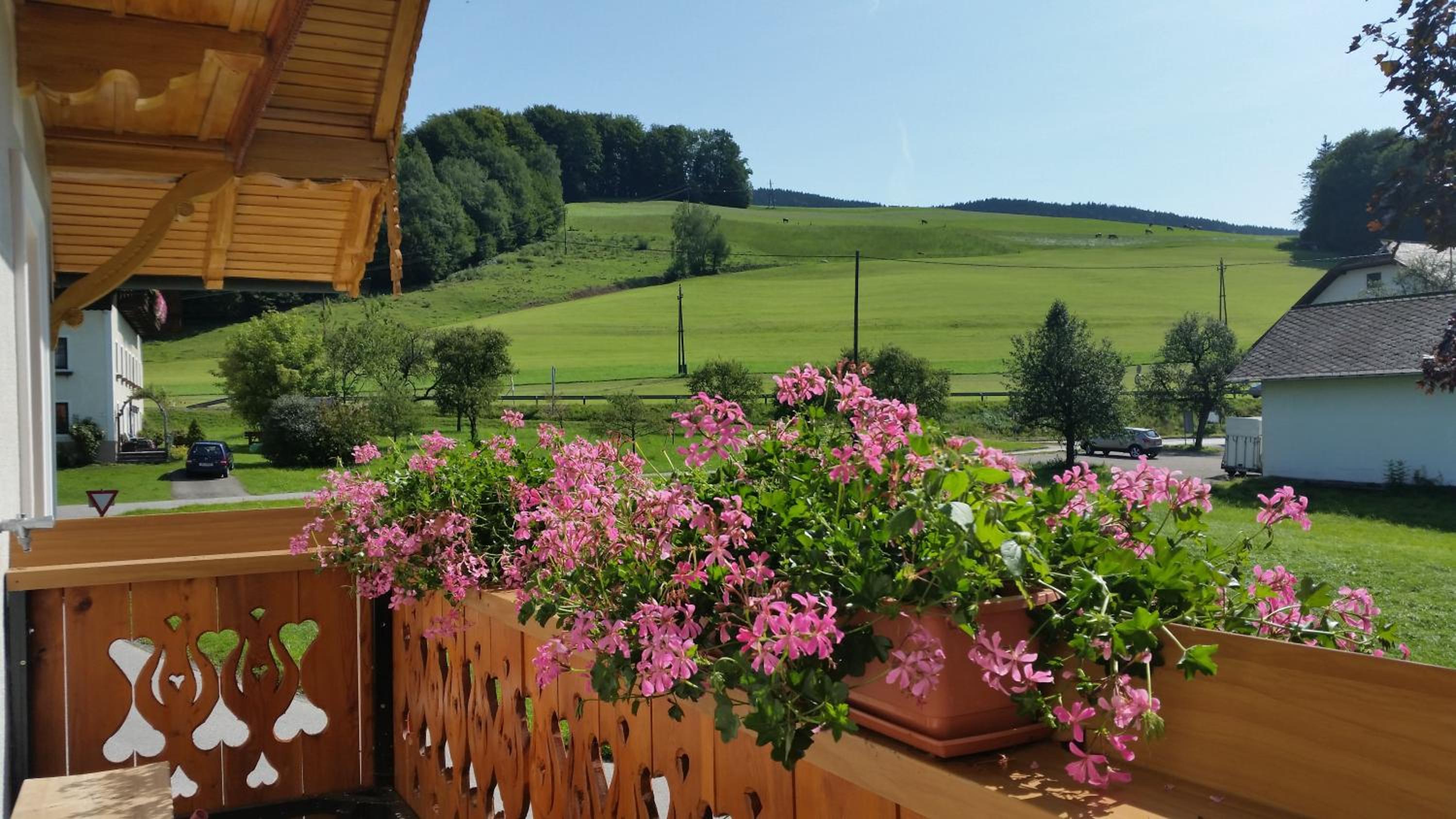 Ferienwohnung Kastenmühle im Mondseeland