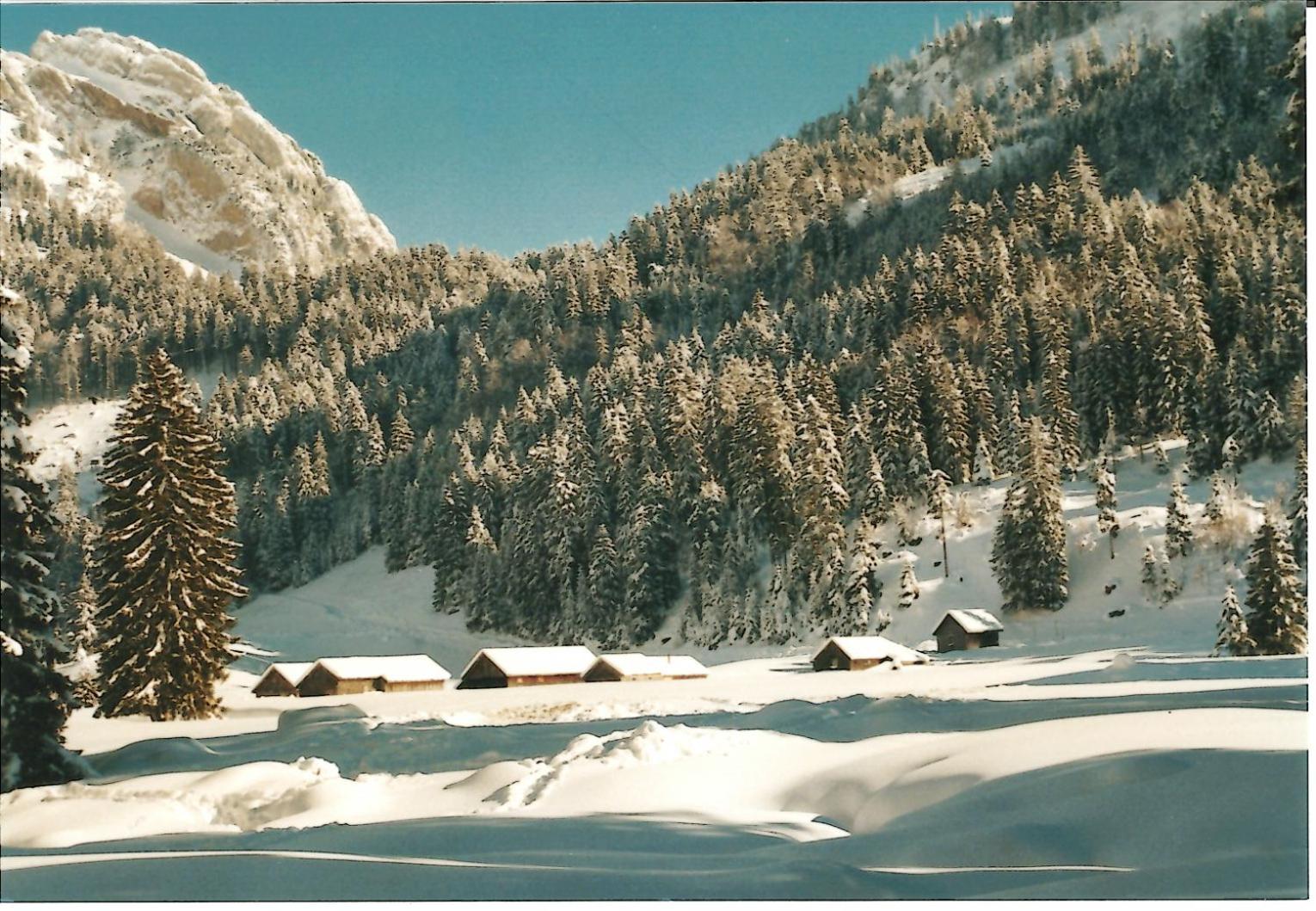 Ferienhaus Gubel