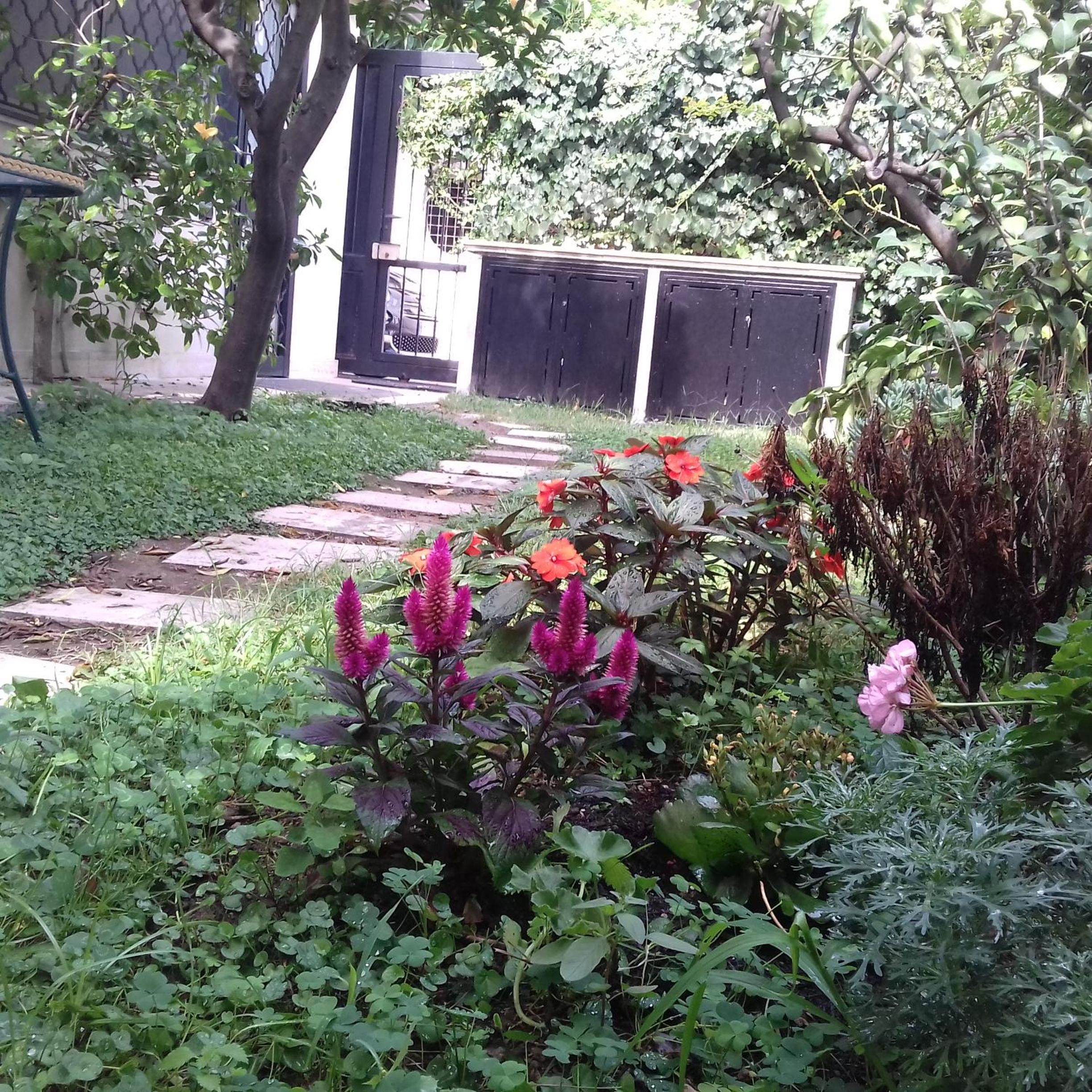 Photo 16