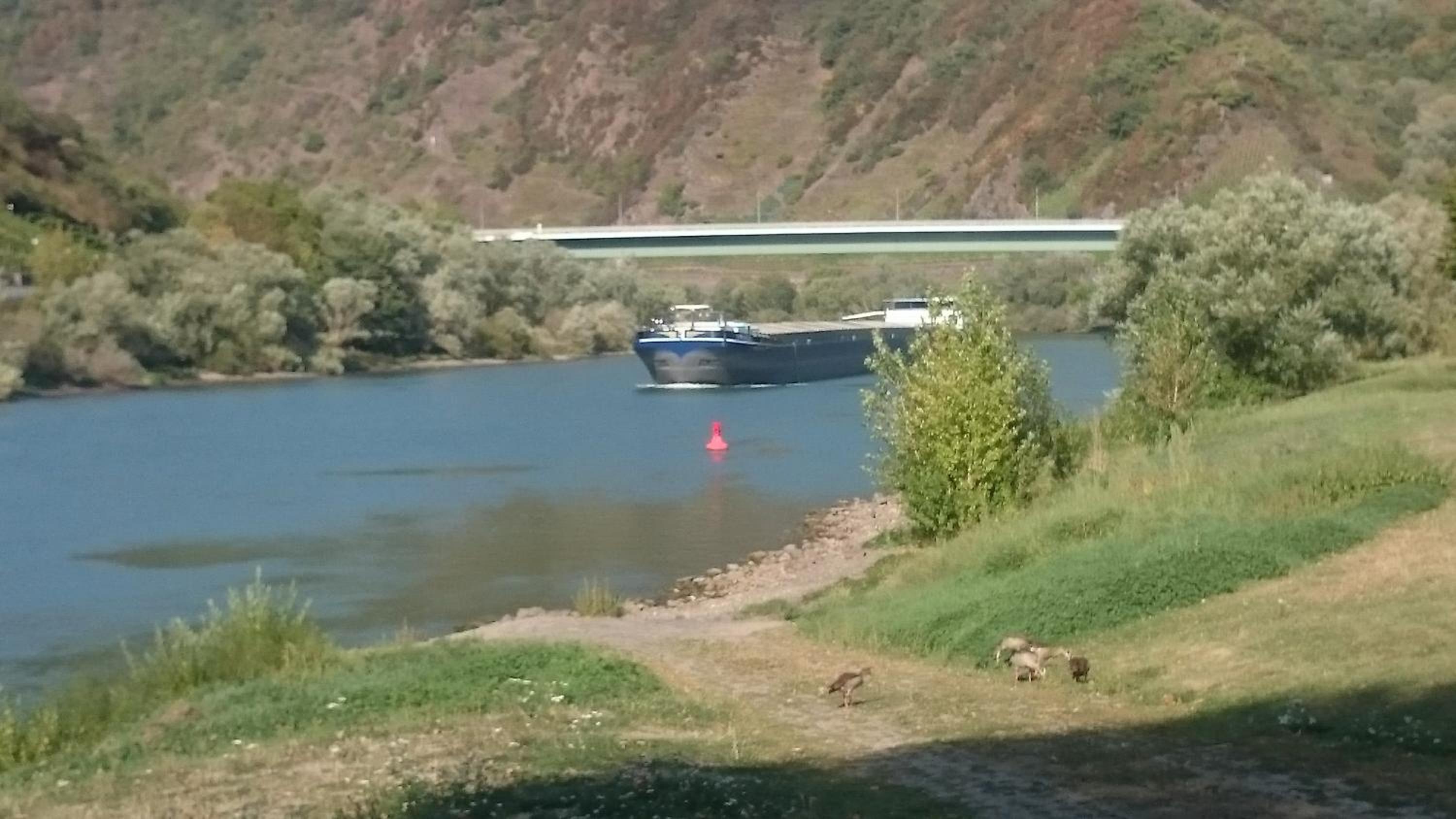 Ferienwohnungen Am Bruttiger Moselsteig
