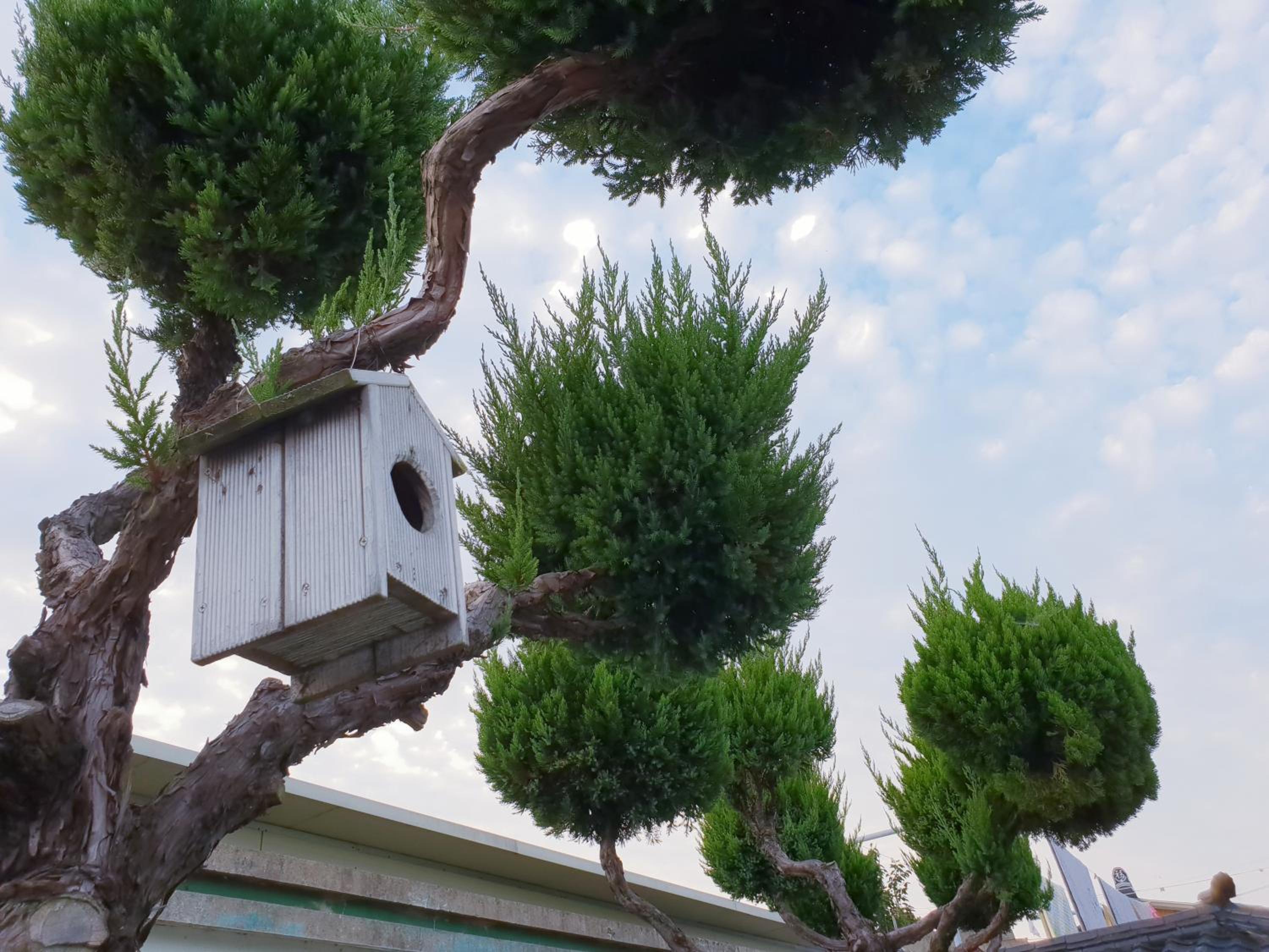 Hanok Raon