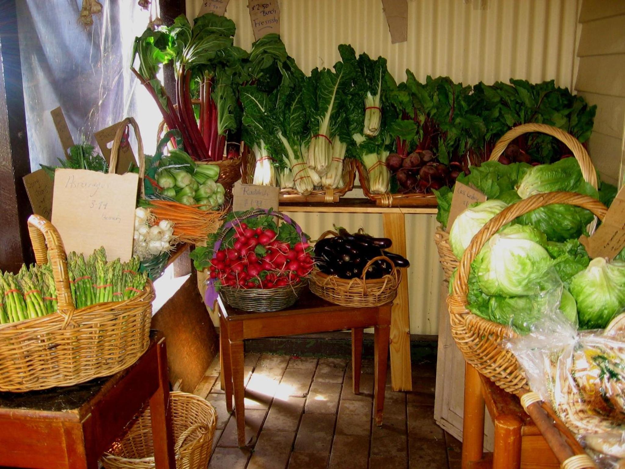 Bowral Road Art Gallery Bed and Breakfast