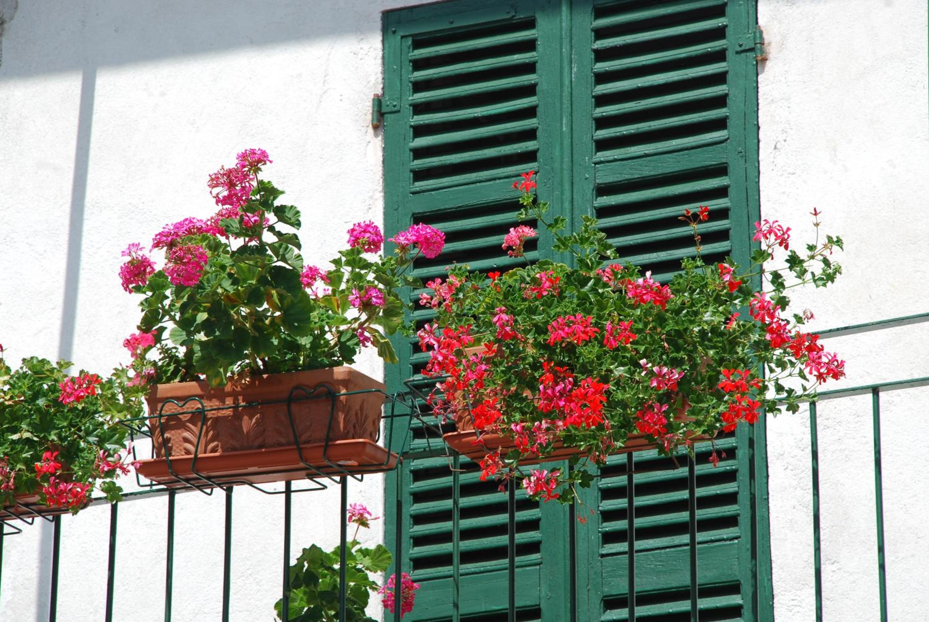 la casa in collina