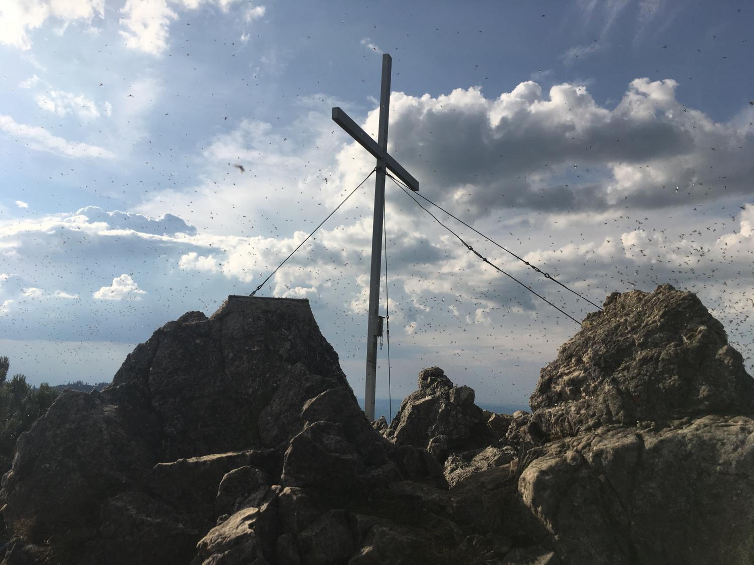 Photo 19
