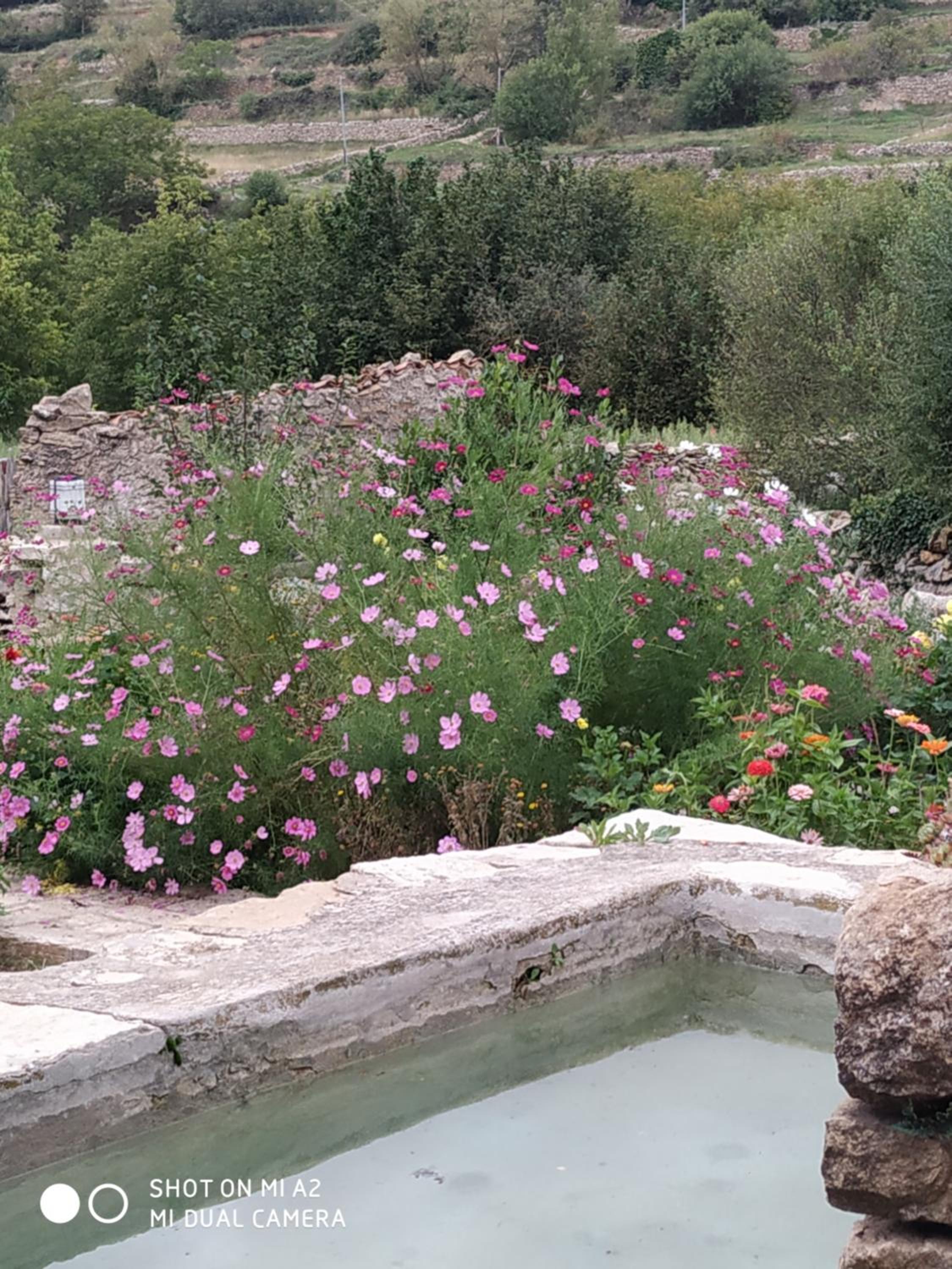 Casa Rural Caseta de l' Hort
