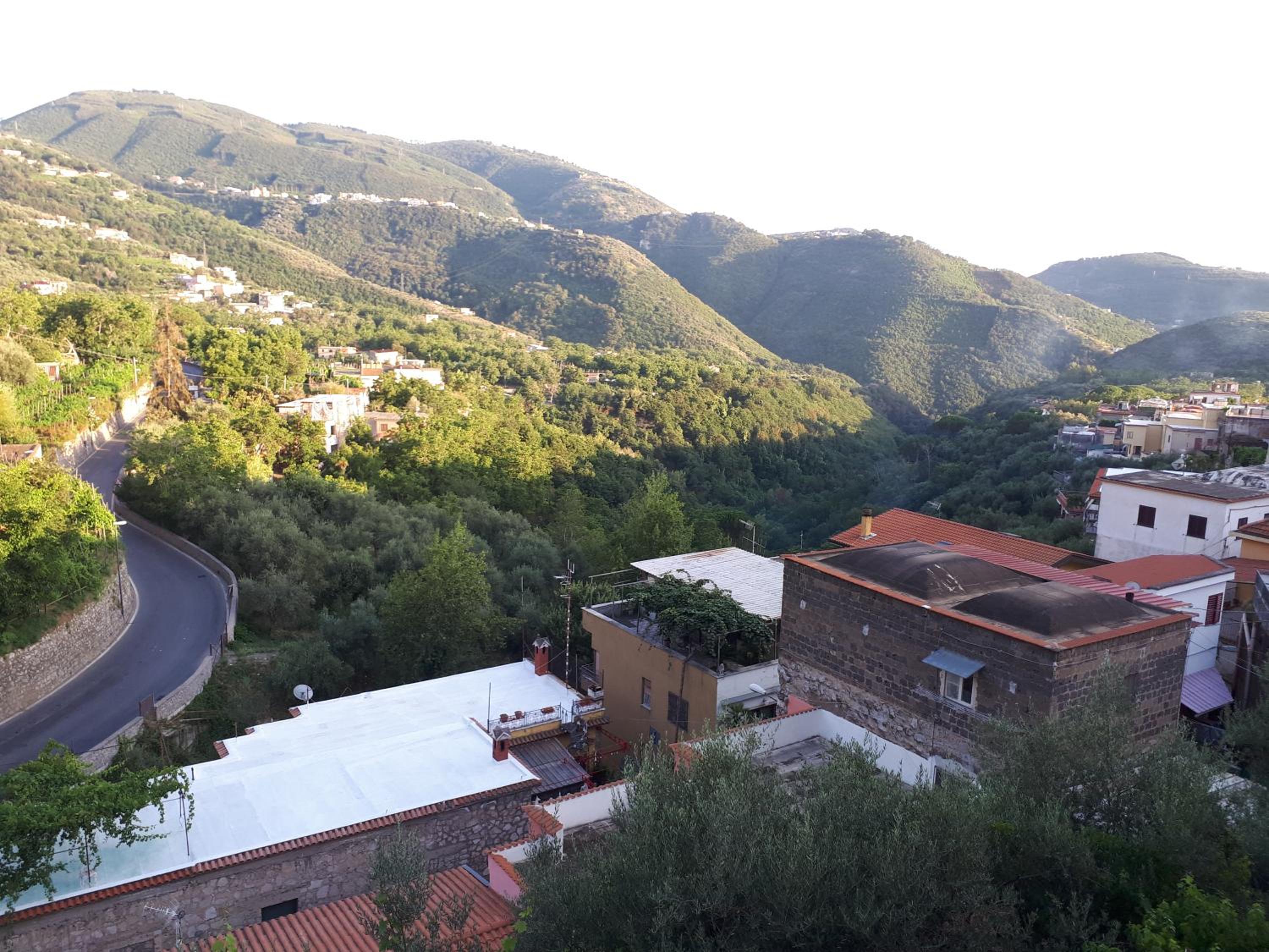 Hill Valley View photo 3