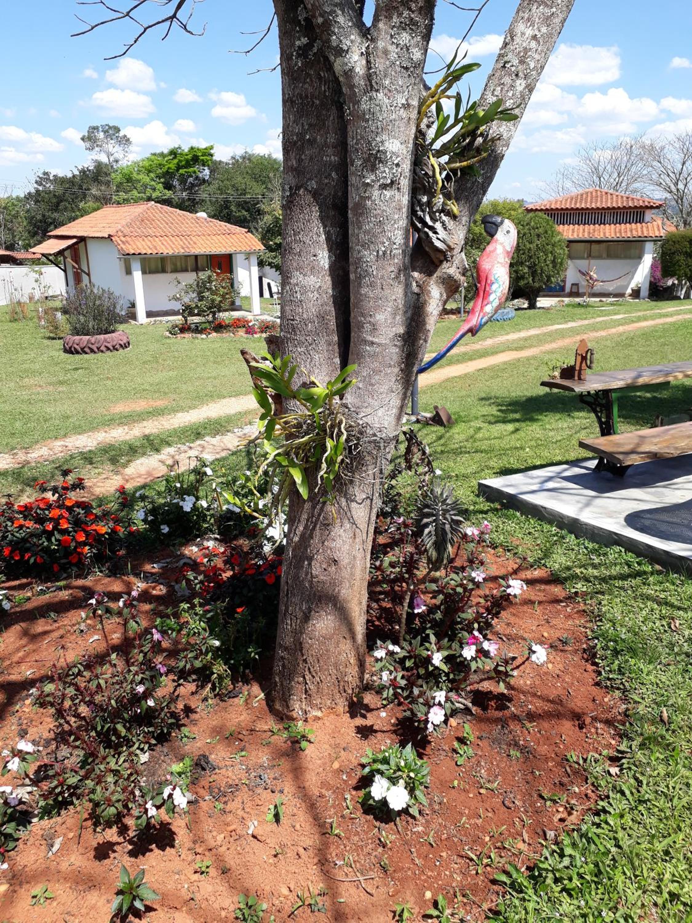 Pouso dos Querubins