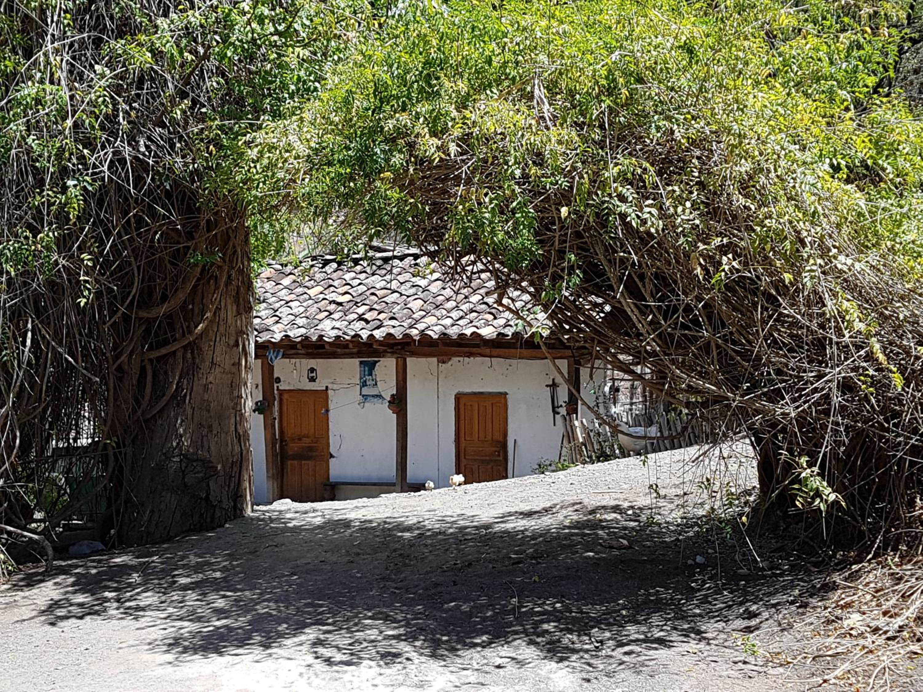 Photo 43