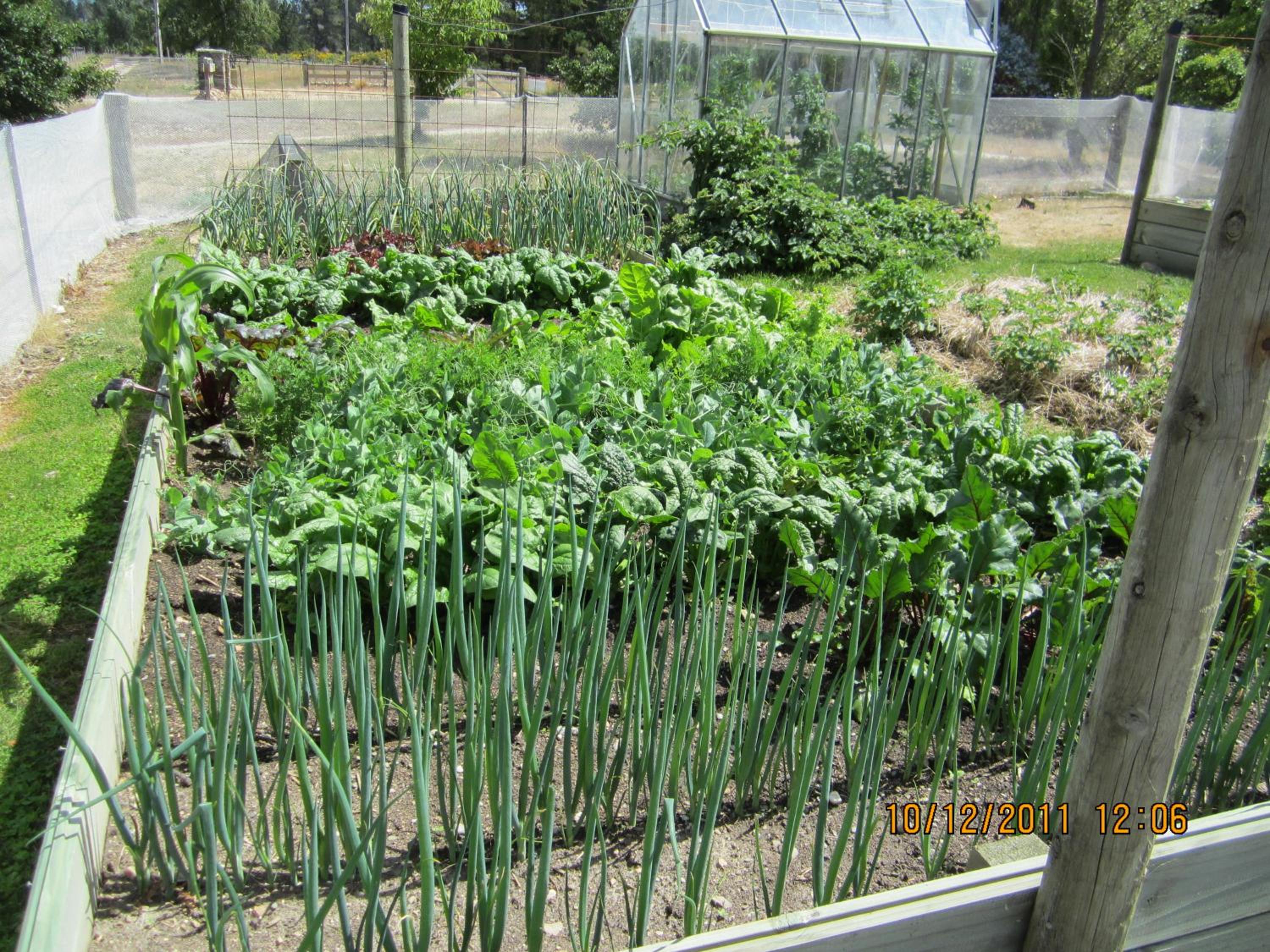 Hawkdun Rise Vineyard & Accommodation
