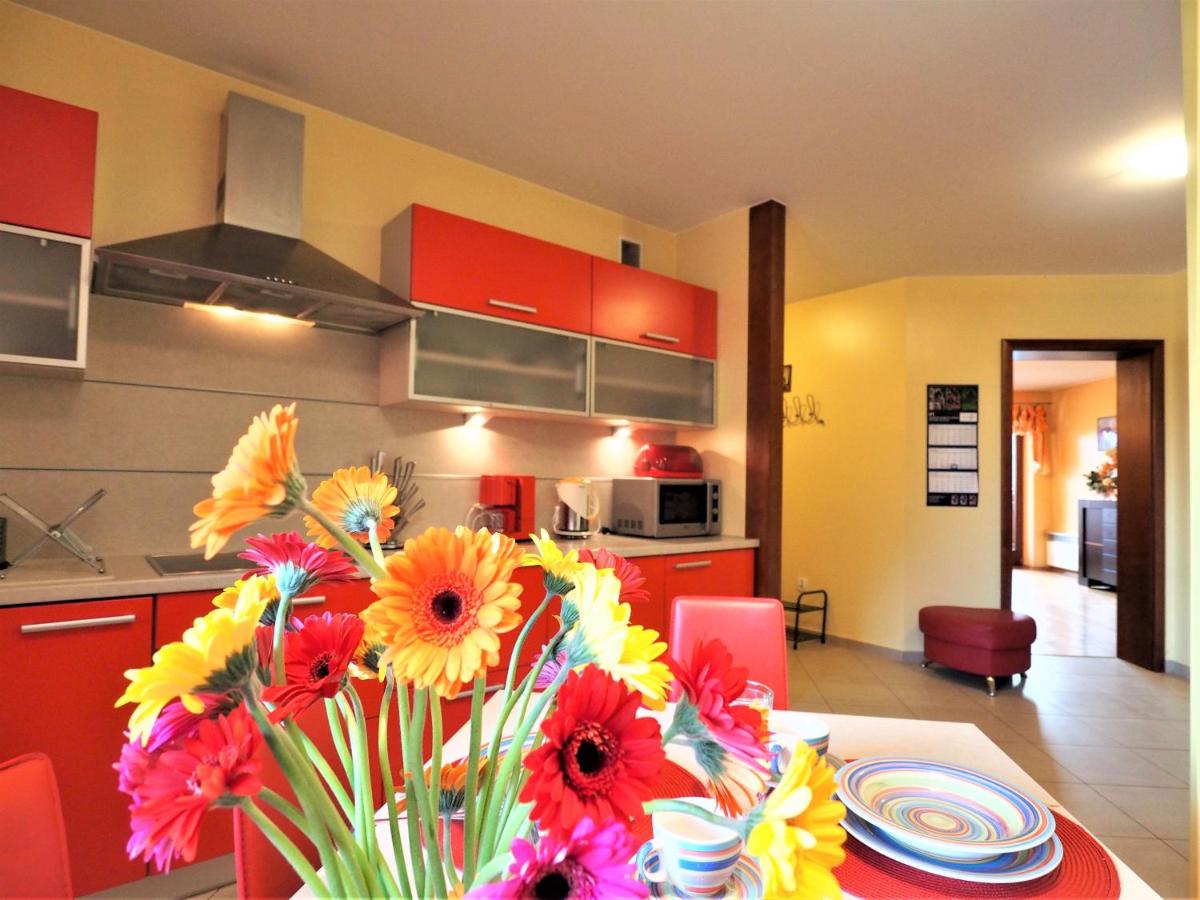 Apartament Widokowy Maki view 2
