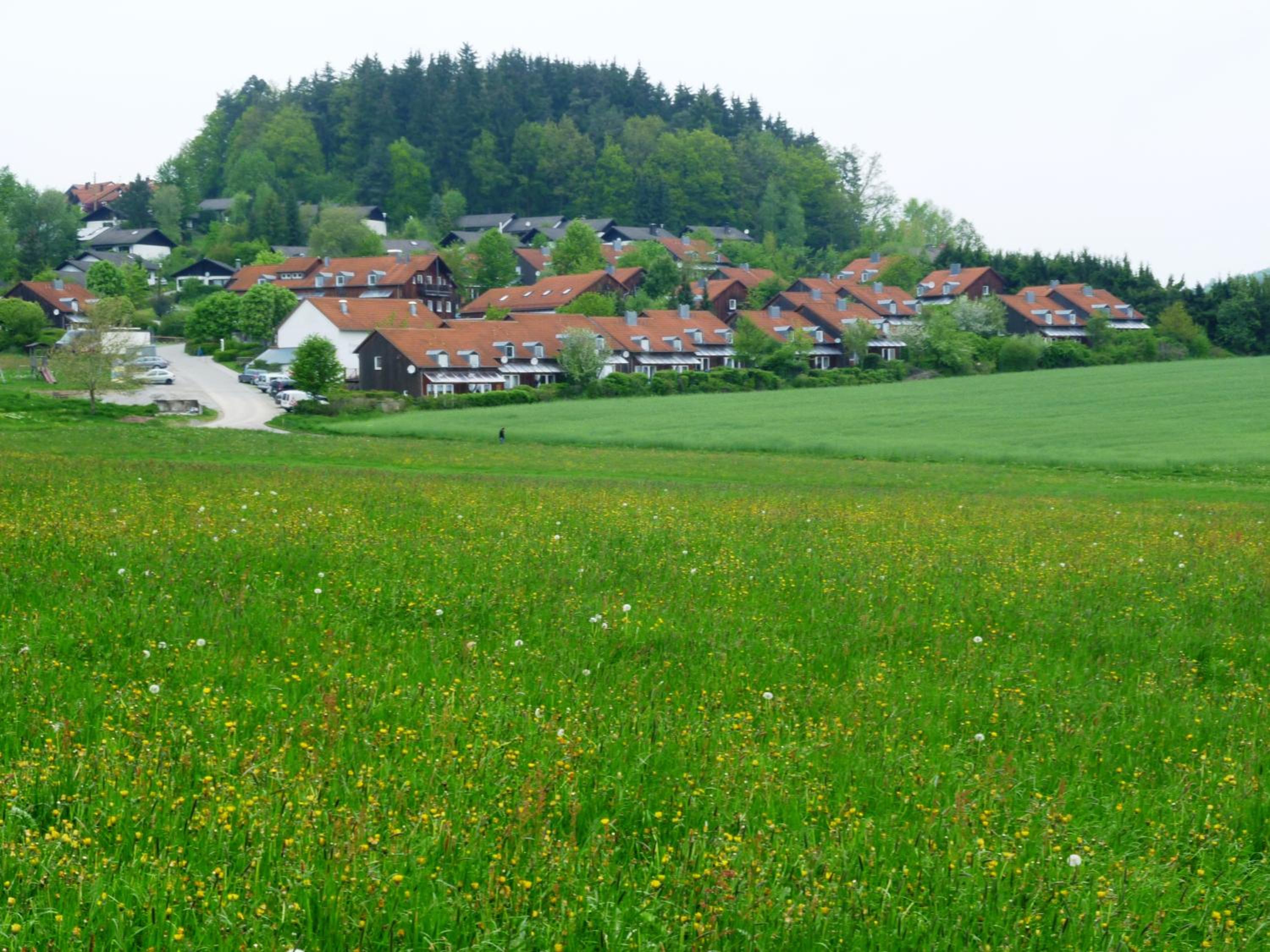 Ferienhaus LIVI