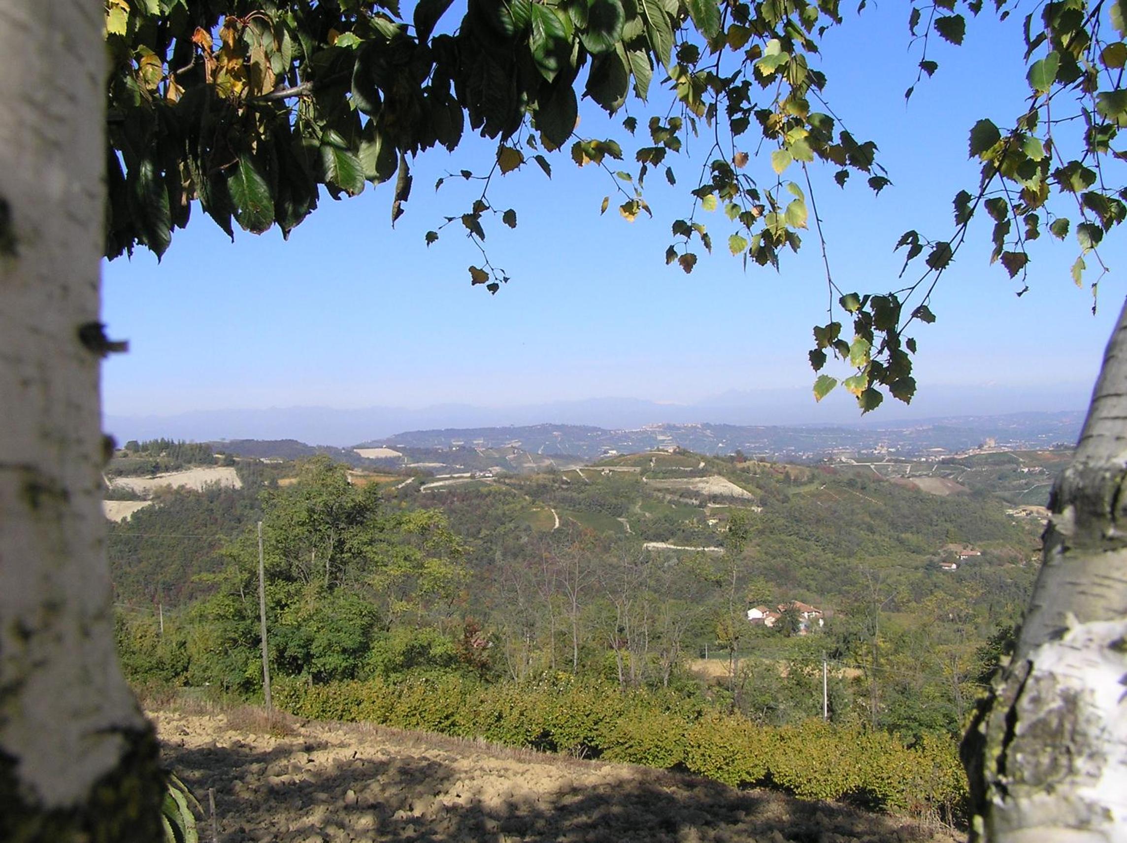 Photo 48