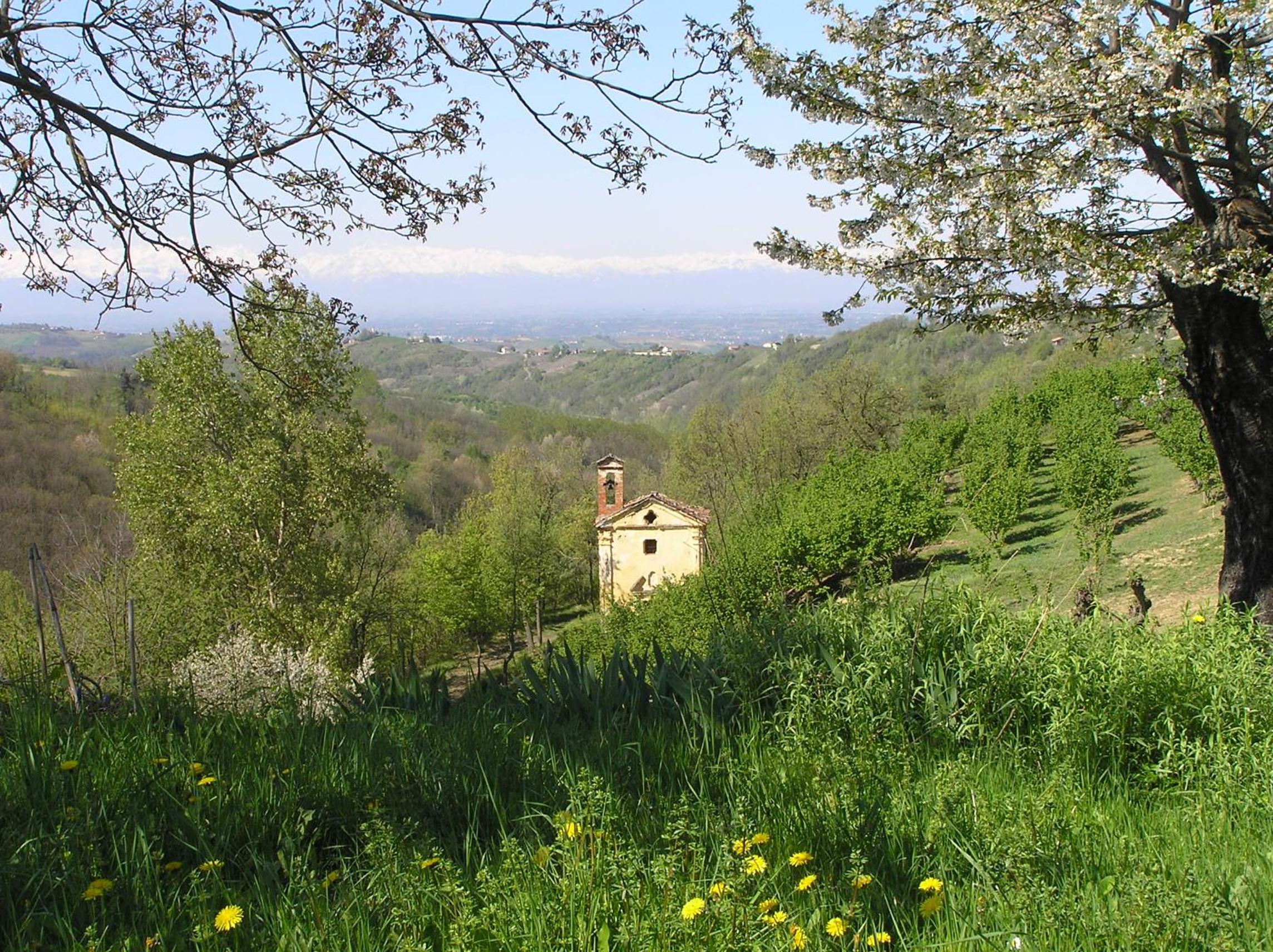 Photo 28