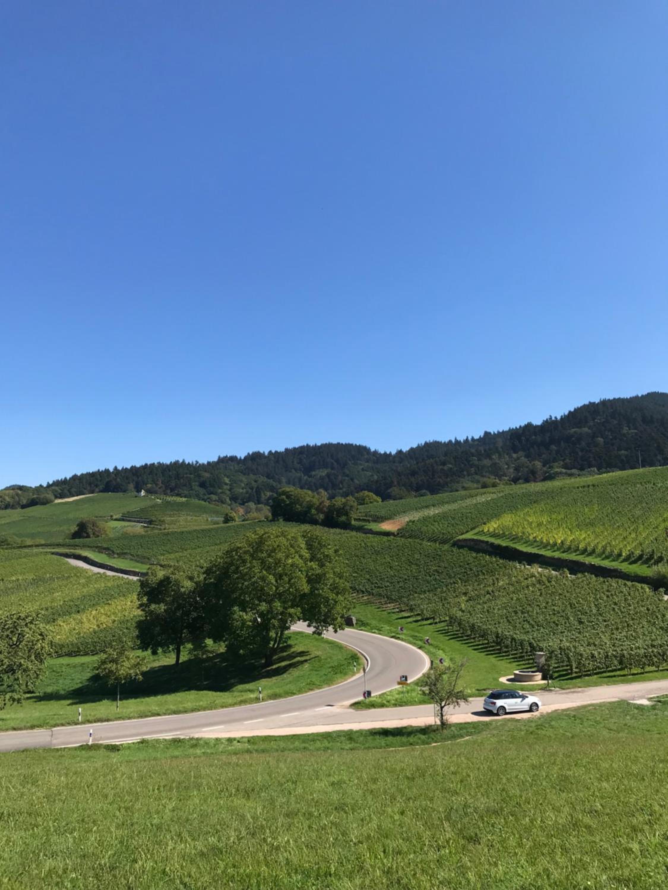 HUS - Chalet Lodges