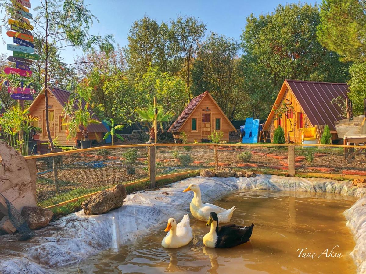 children's play area