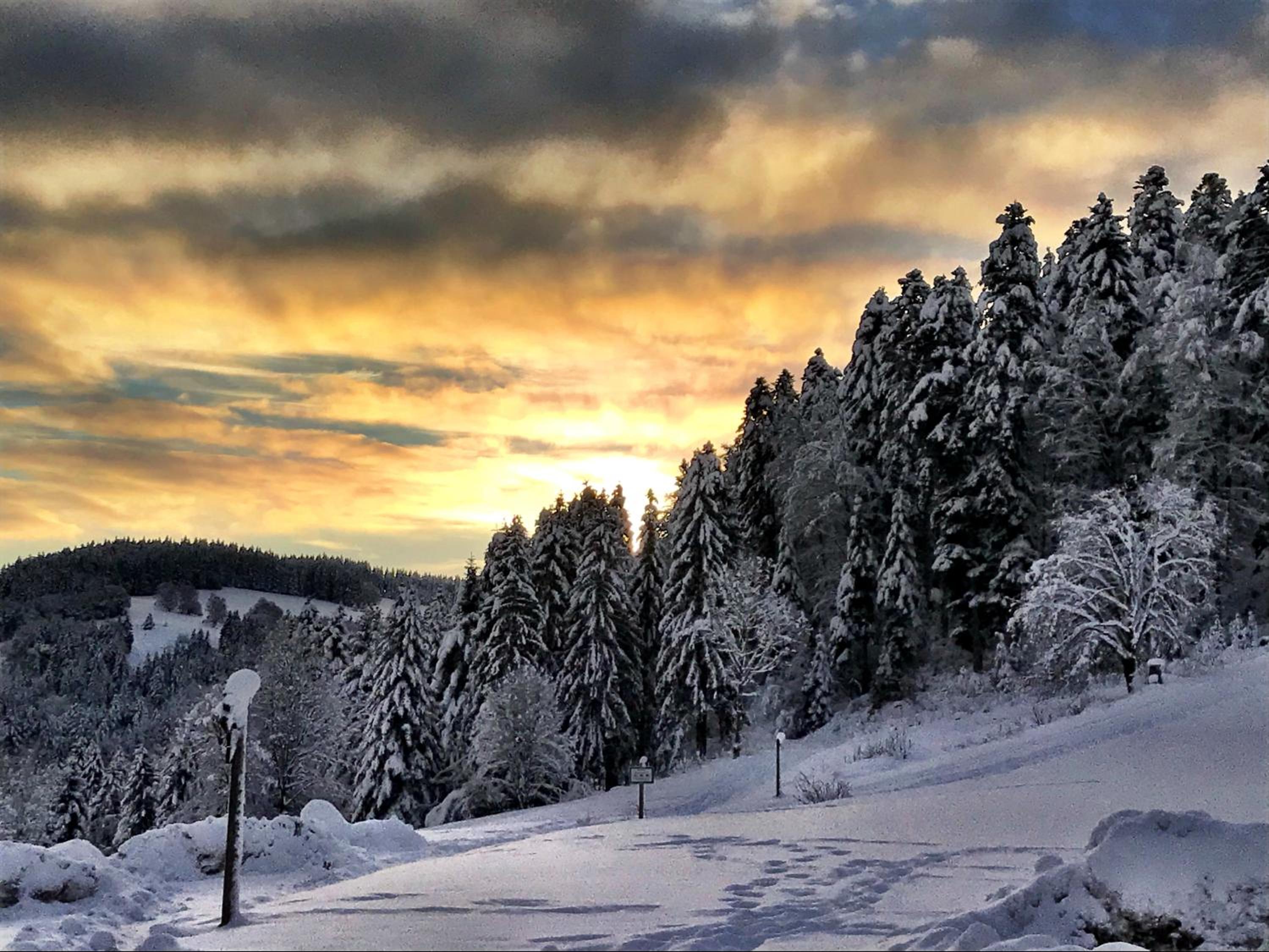 HUS - Chalet Lodges