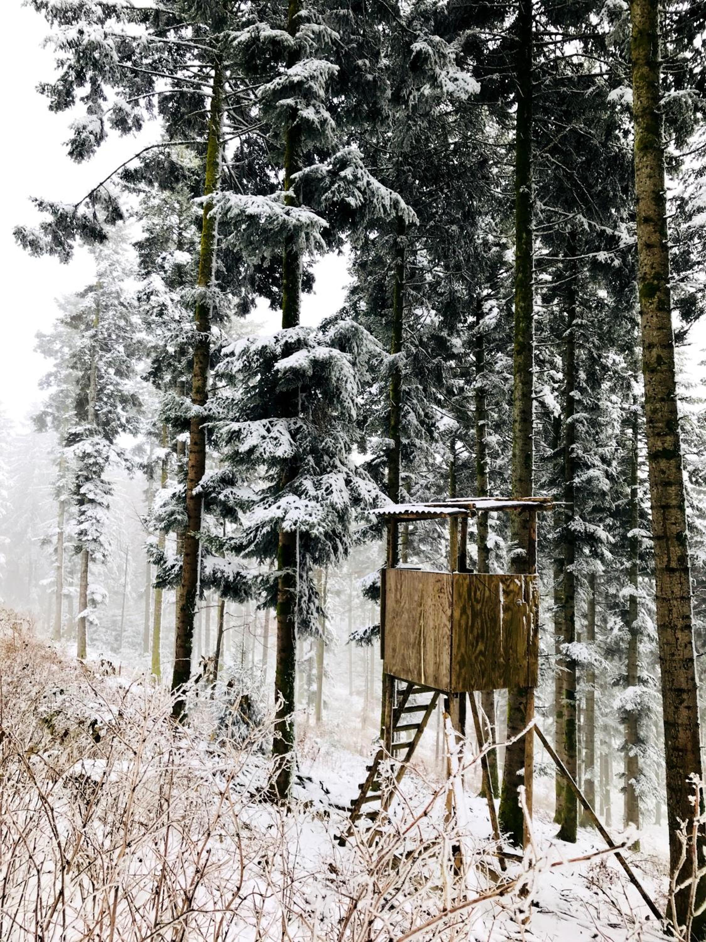 HUS - Chalet Lodges