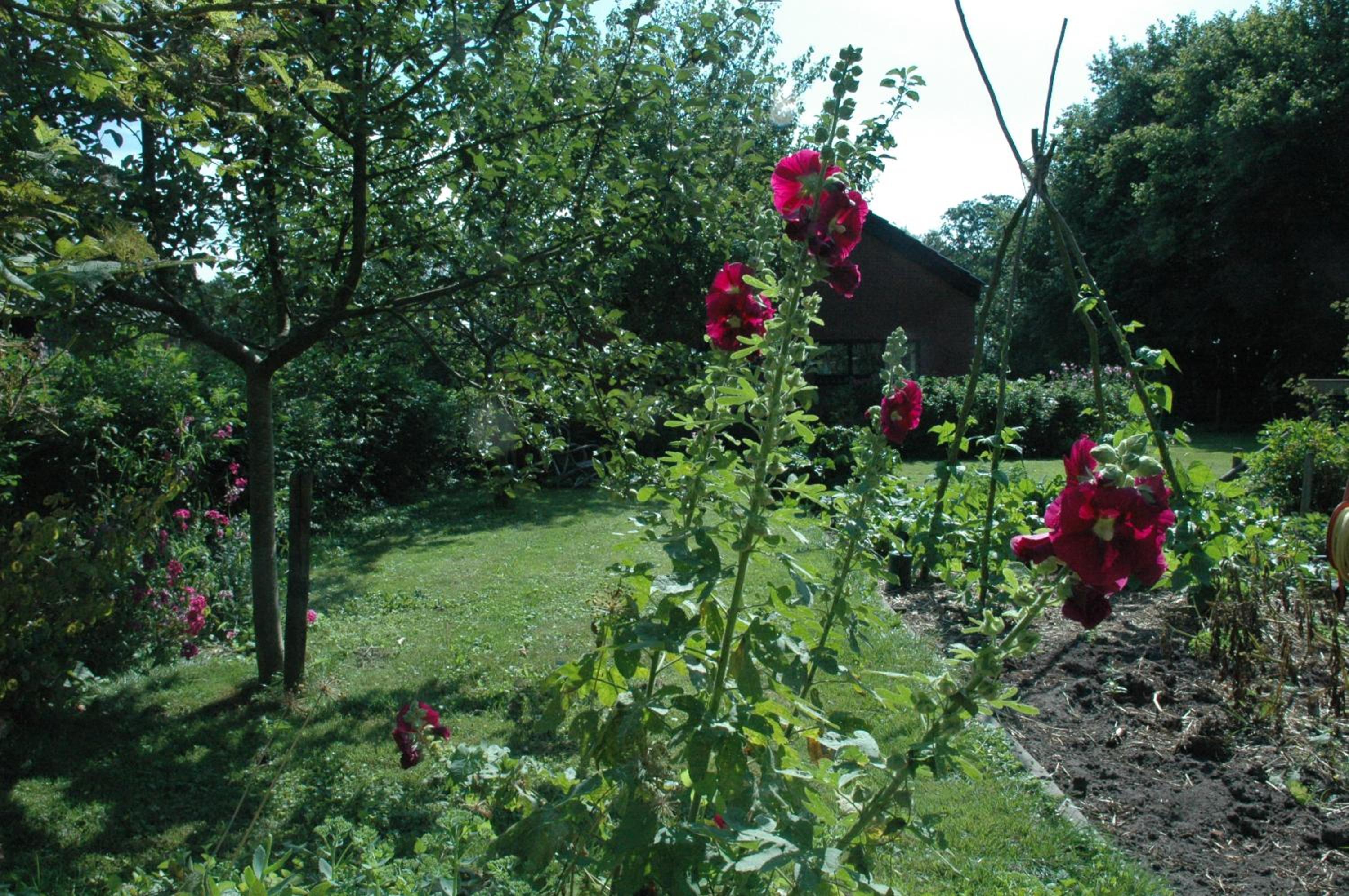 Photo 15