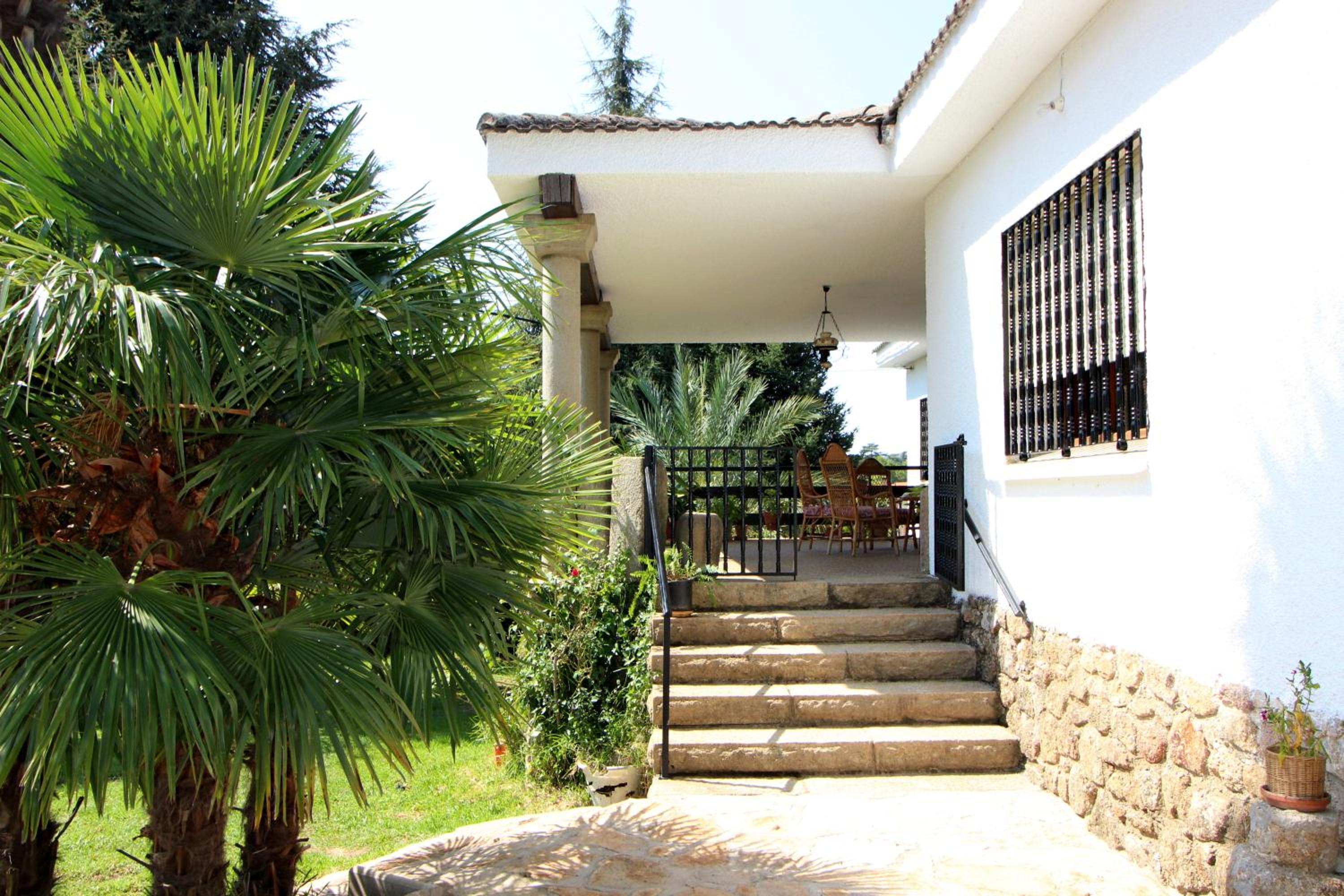 Photo 8