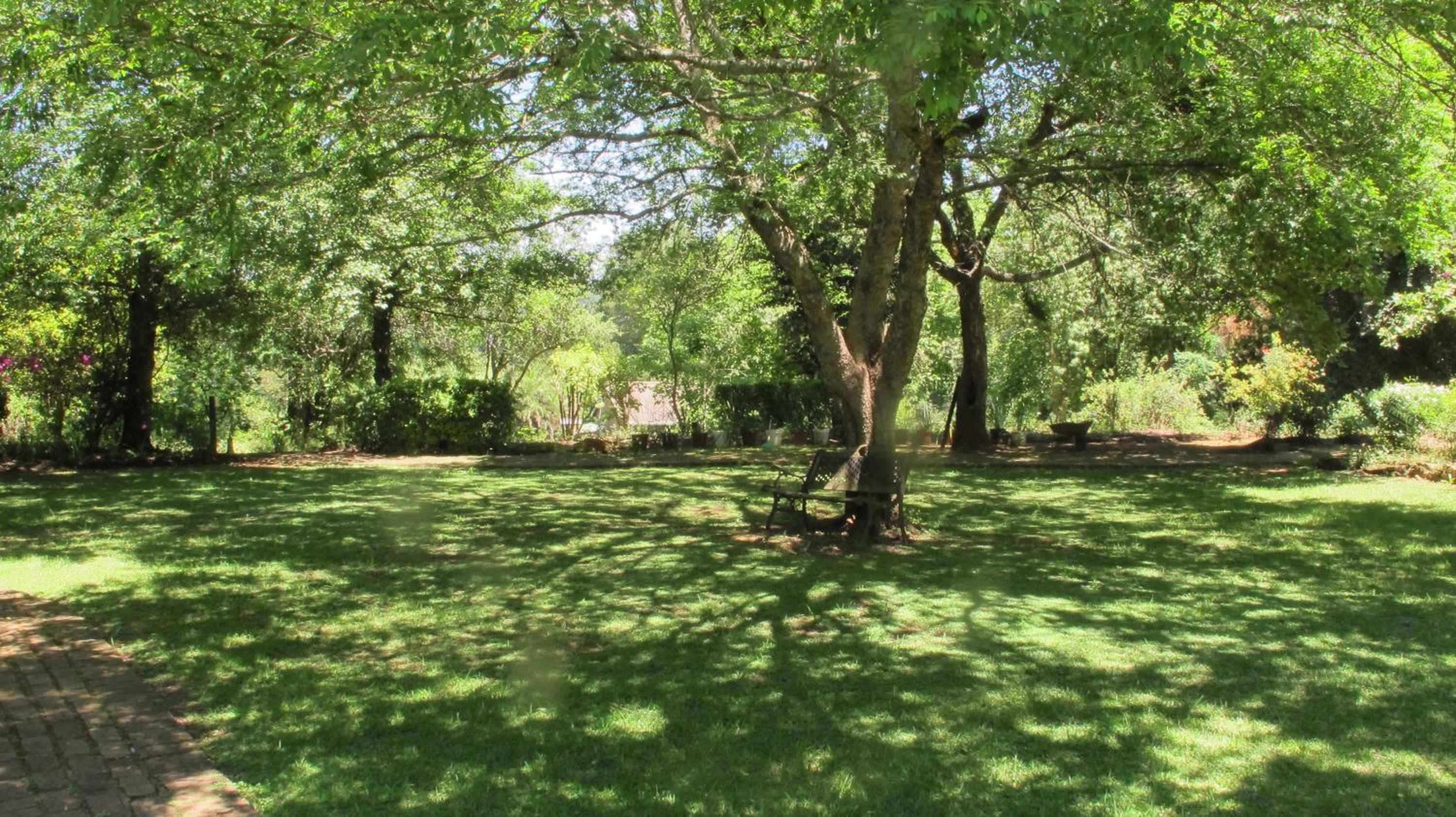 Photo 27