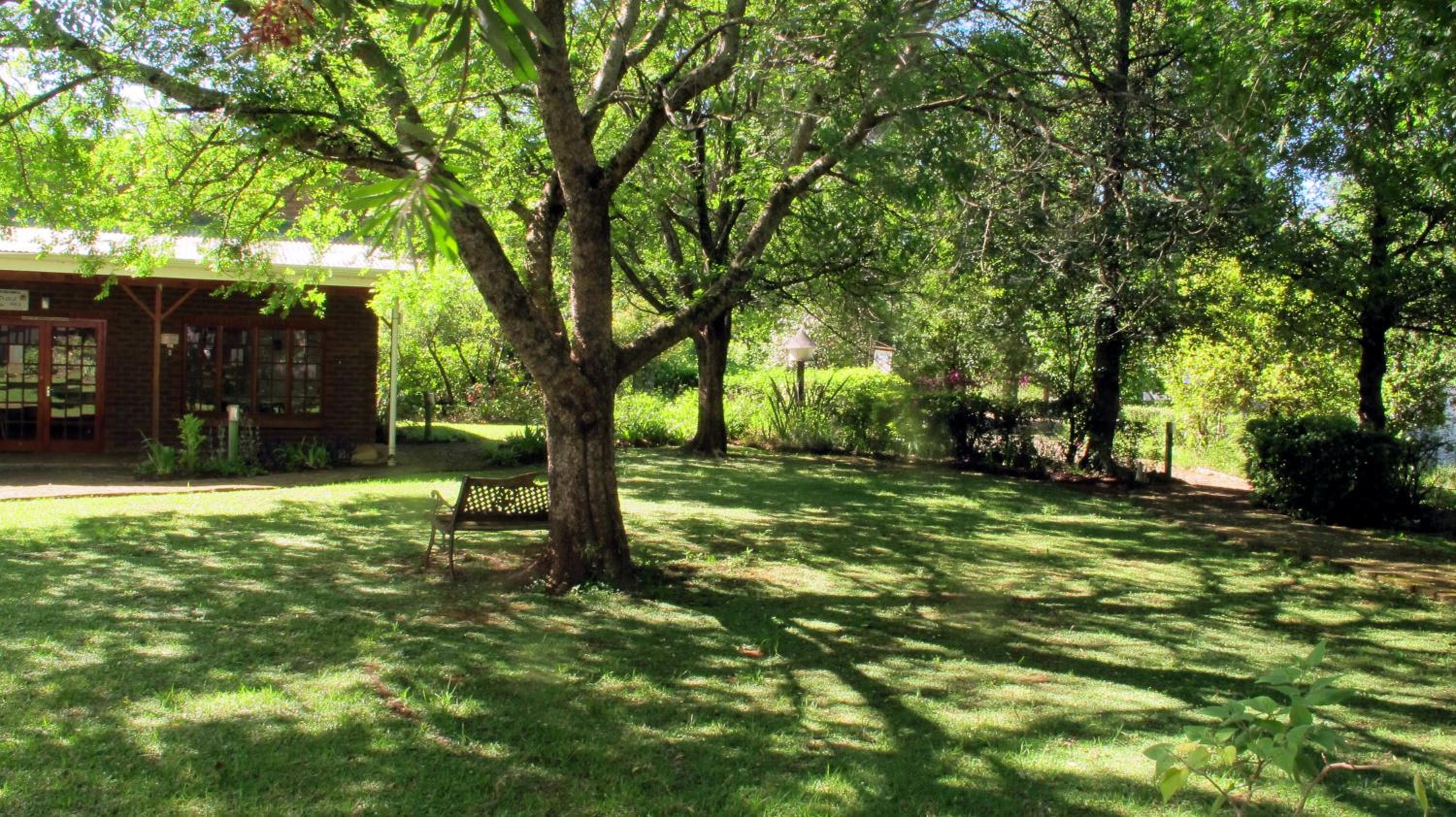 Photo 41