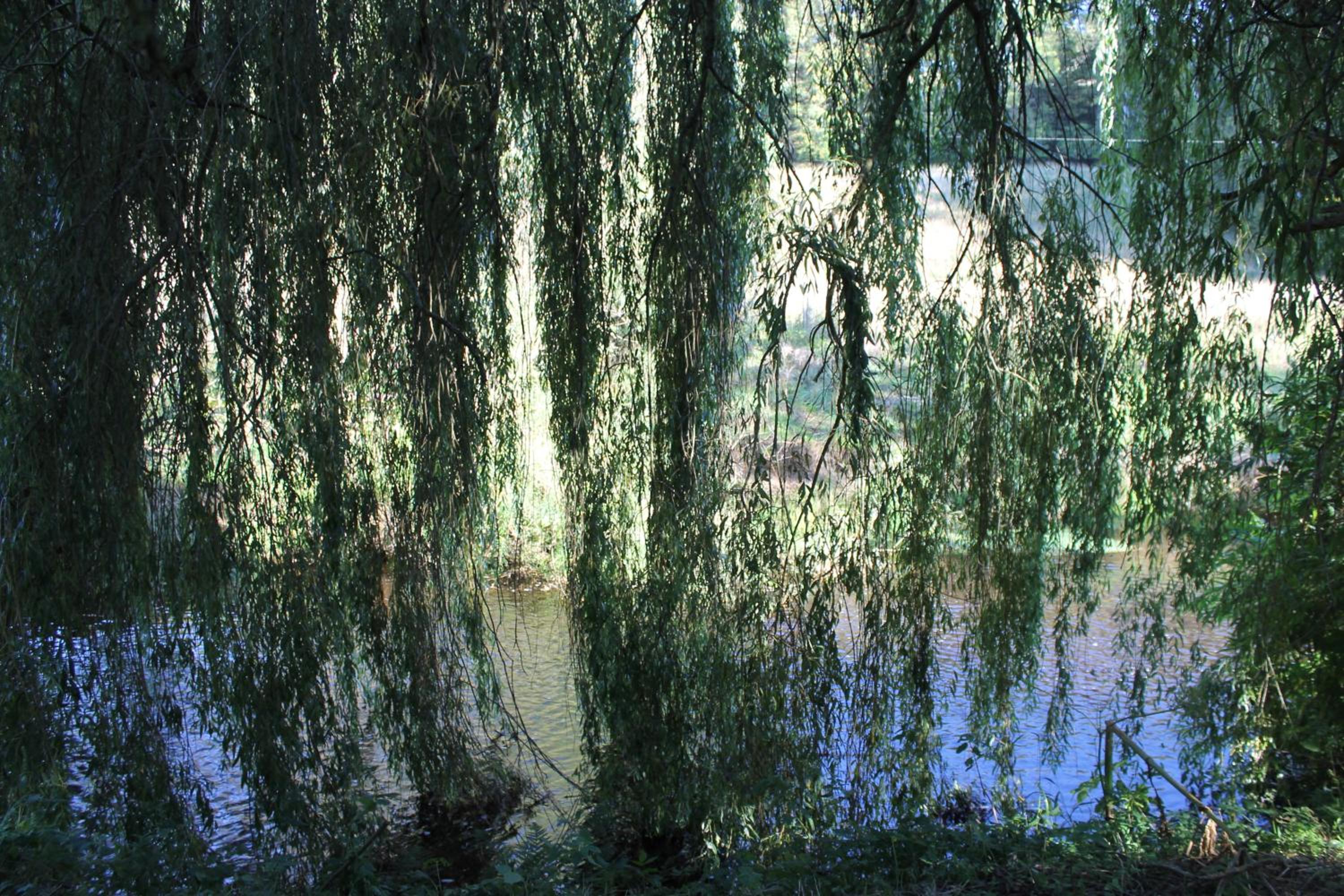 Photo 28