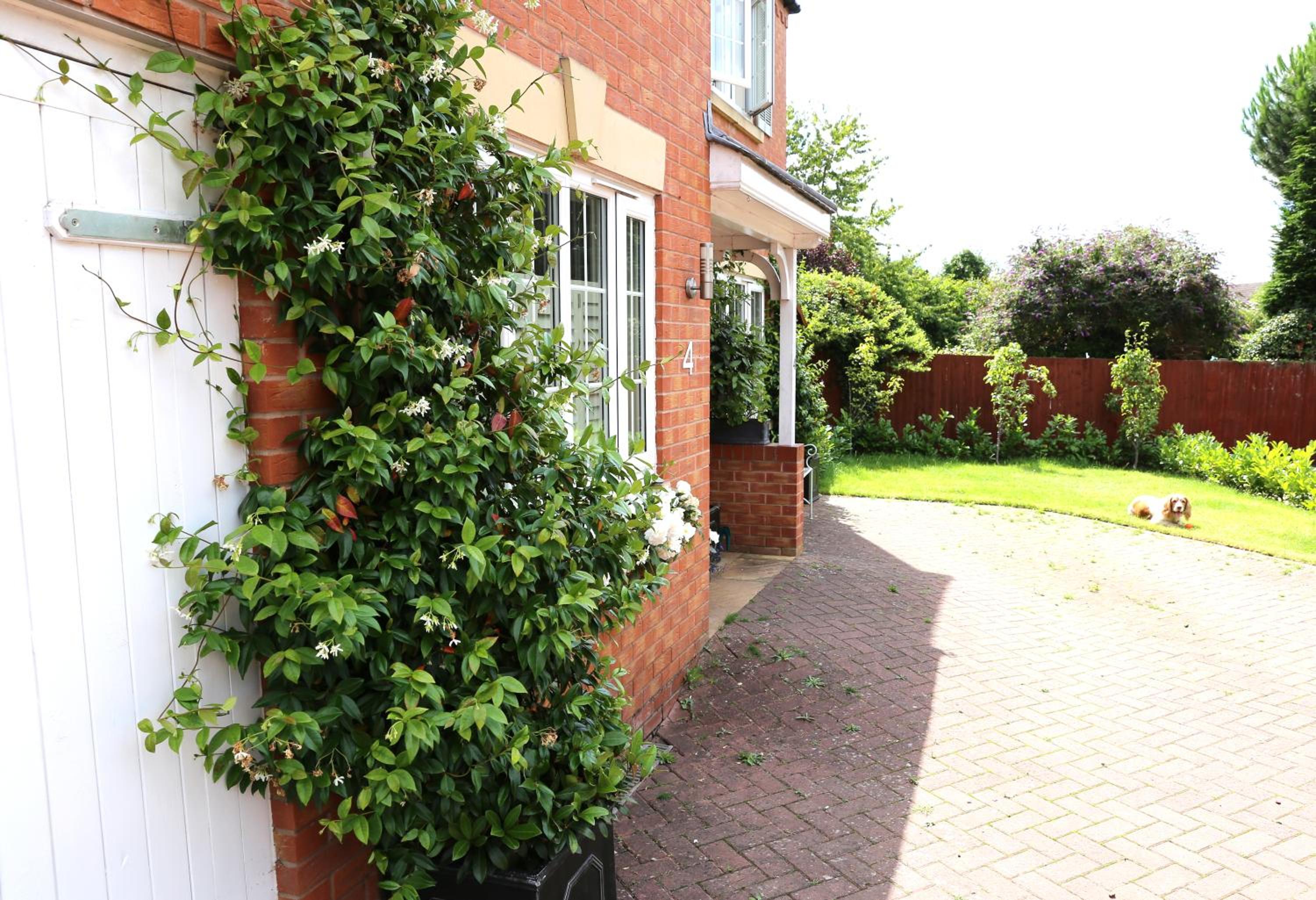 Harlequin B&B Ledbury