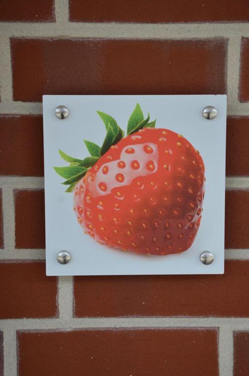 Fewo Obsthof Matthies - Property Image 135