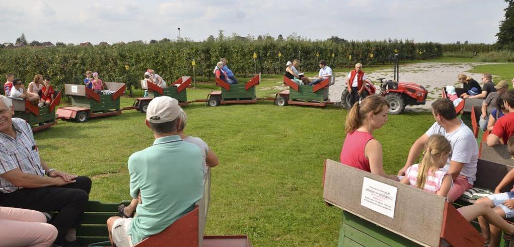 Fewo Obsthof Matthies - Property Image 134