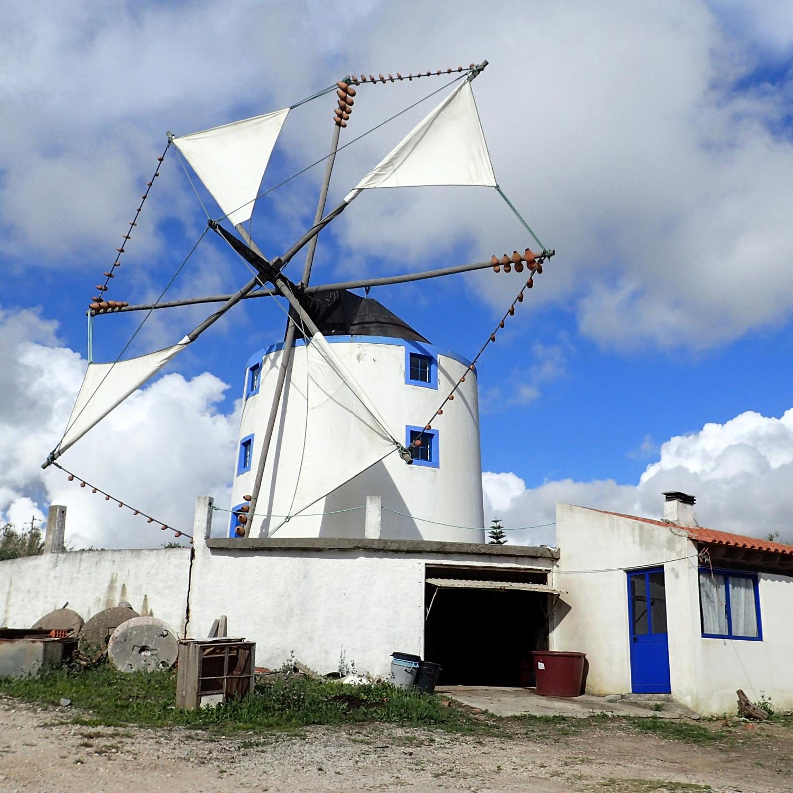 Photo 25