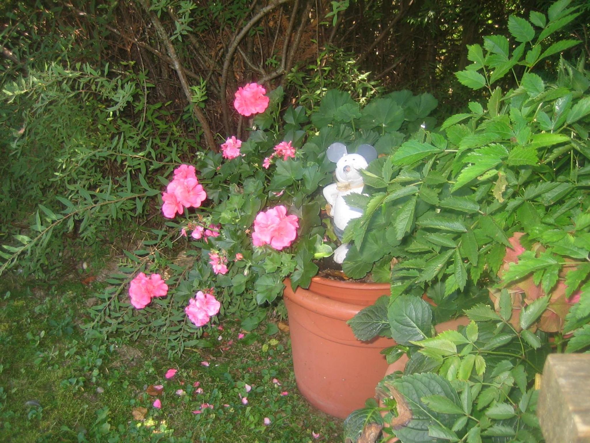 Photo 49