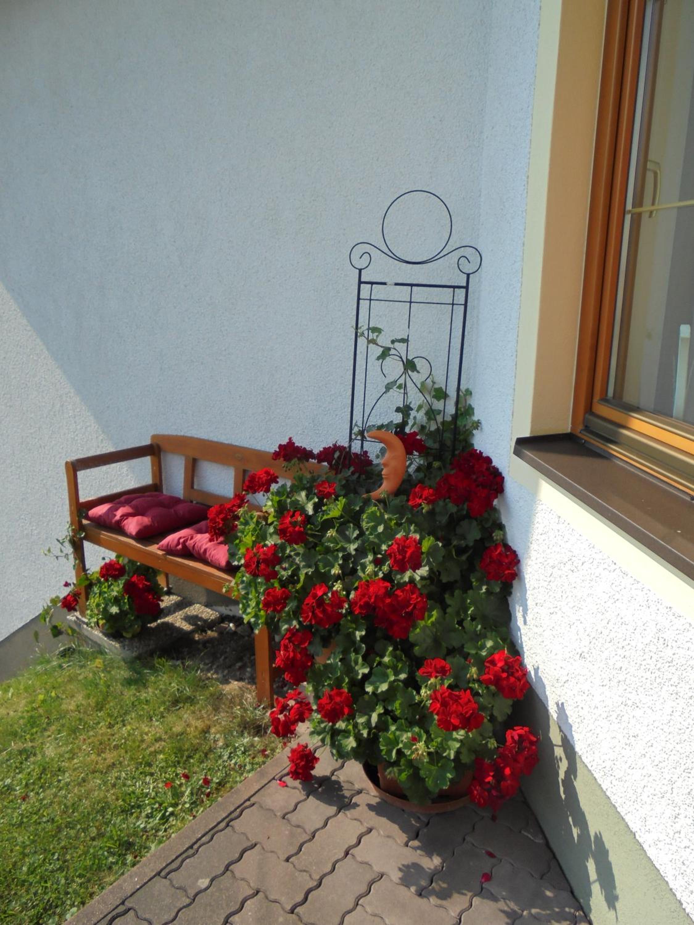 Photo 39