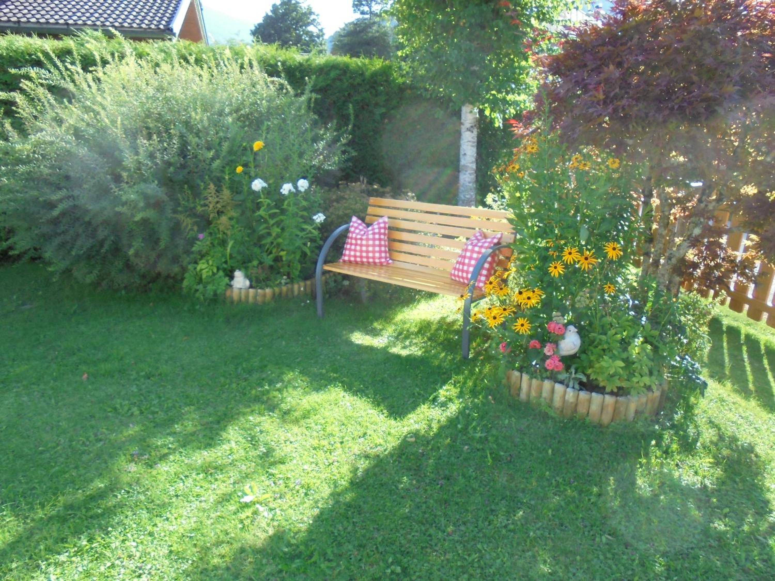 Photo 50