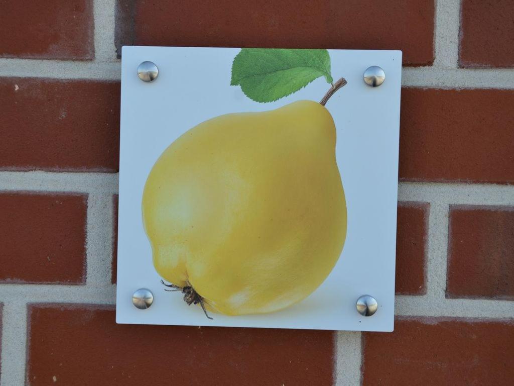 Fewo Obsthof Matthies - Property Image 120