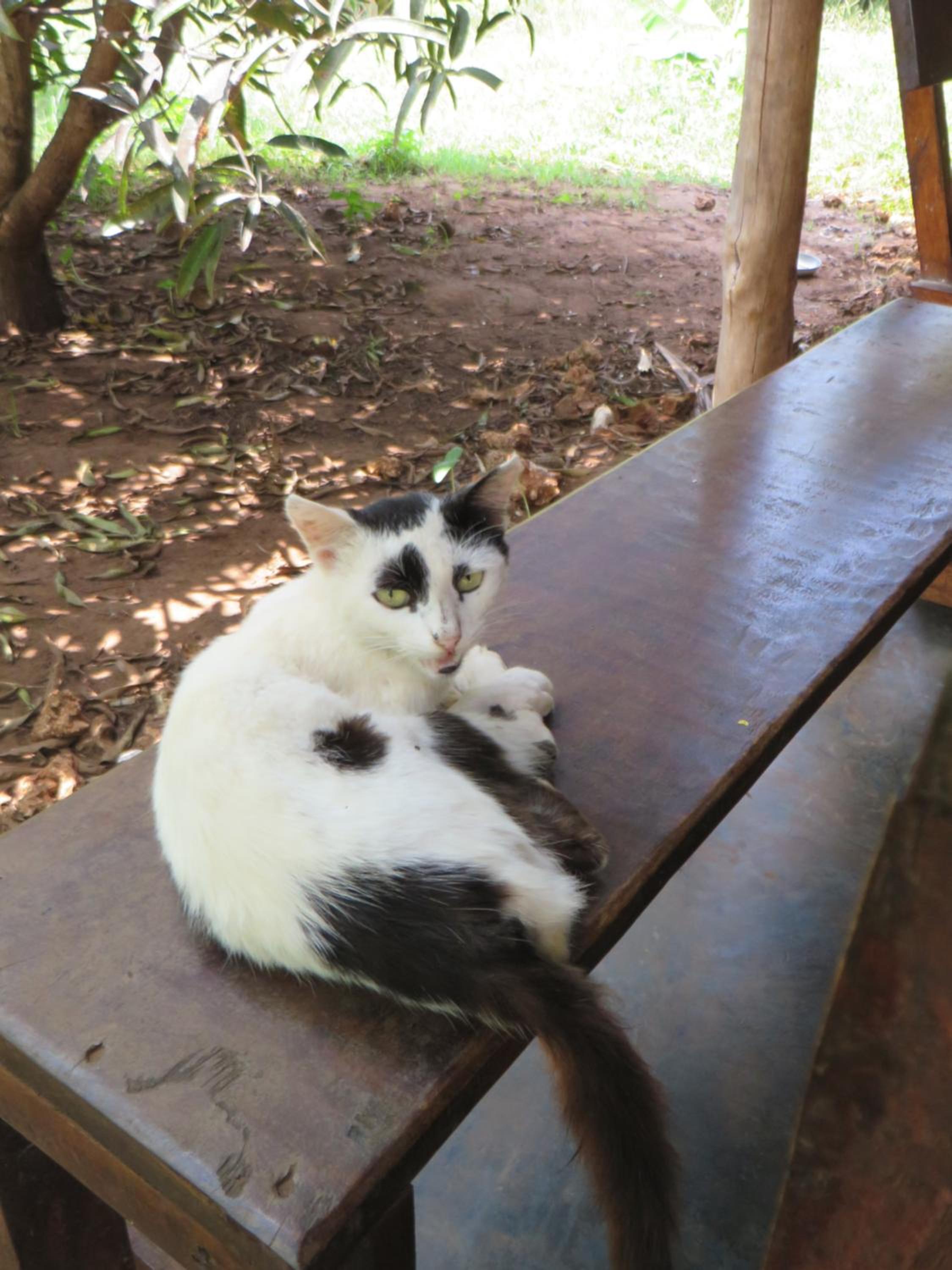 Bahati Diani House Glamping