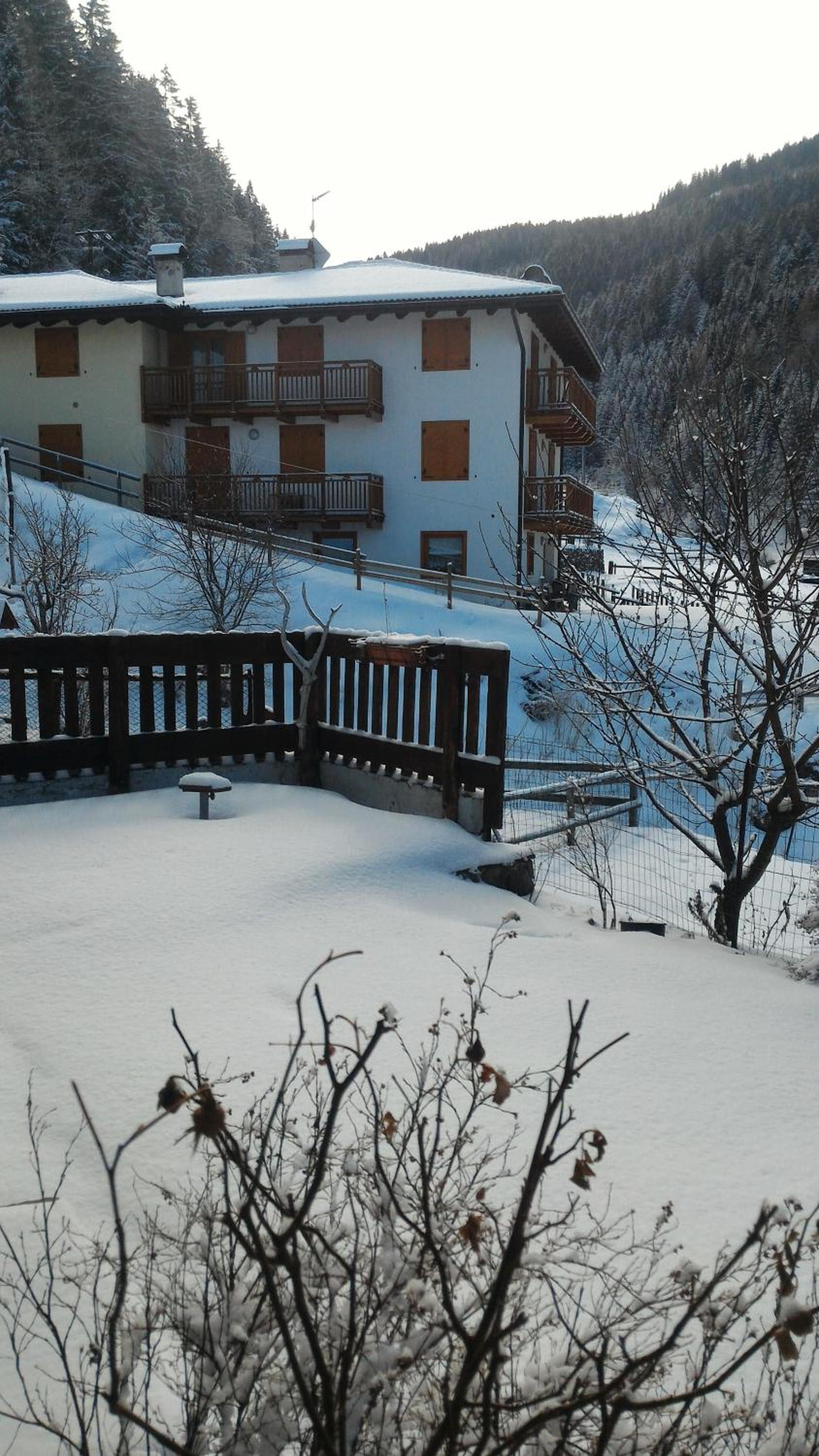 Il Cardo Trentino view 5