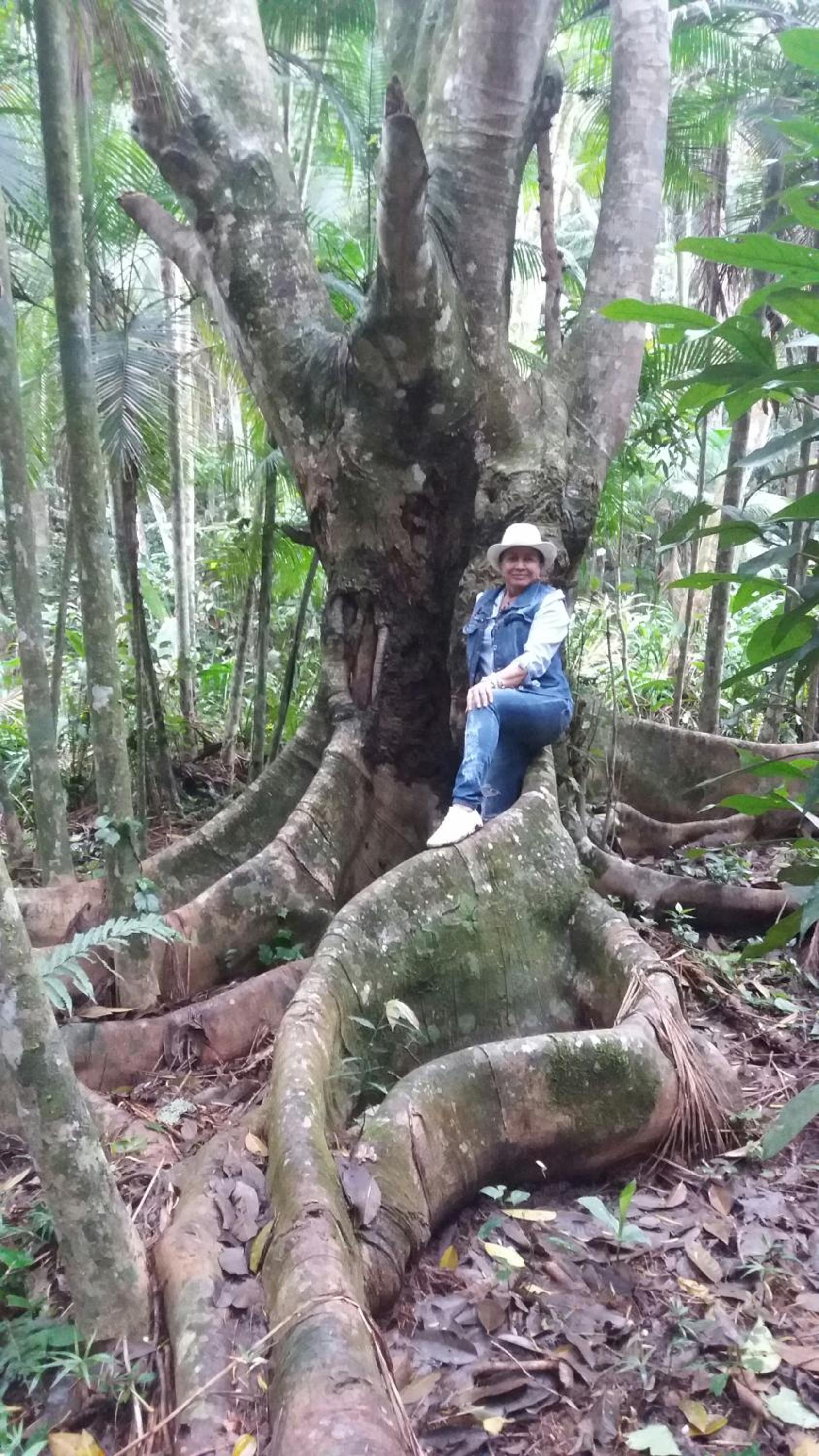 Sitio Camundongo