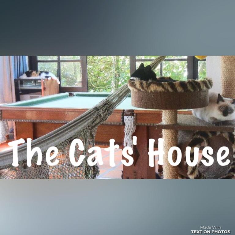 The Cats' House