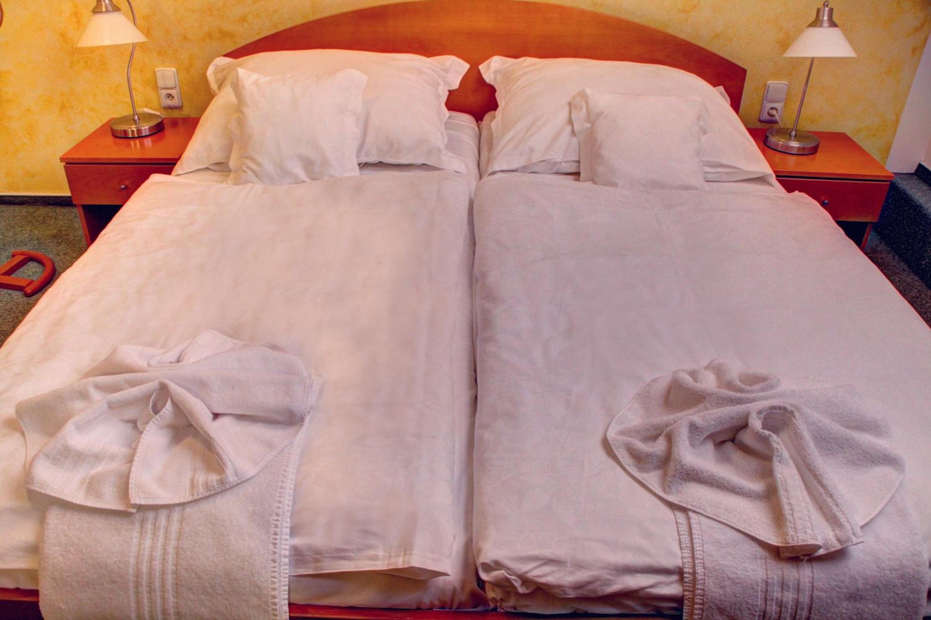 BIRDIE Pension & Wellness
