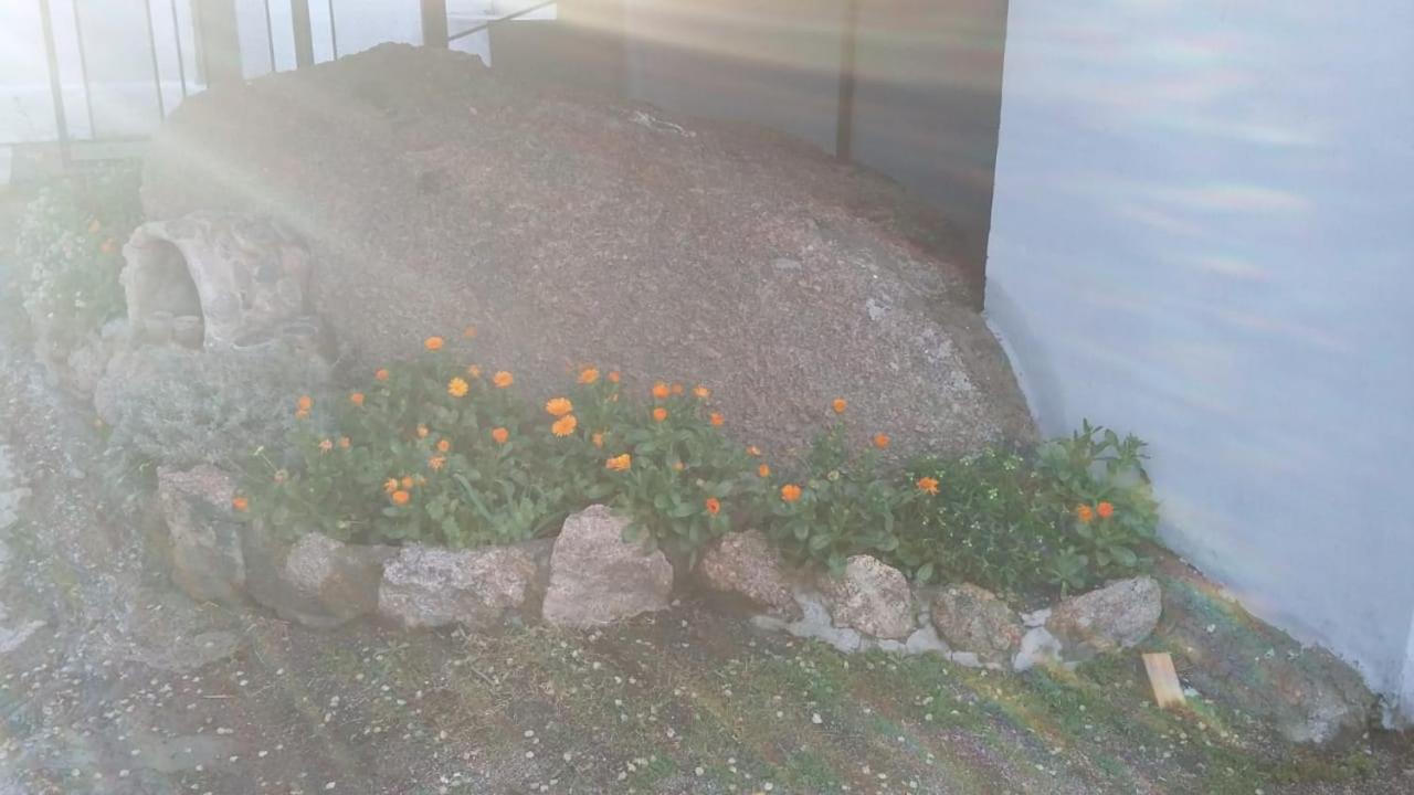 Mi lugar