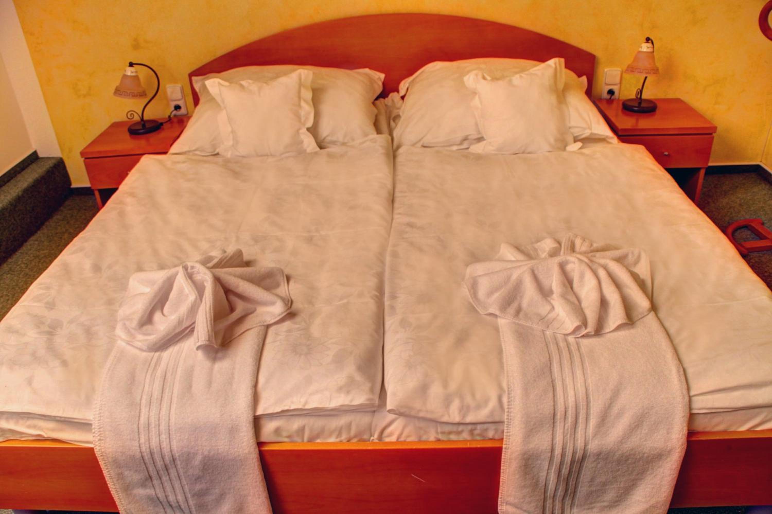 BIRDIE Pension & Wellness