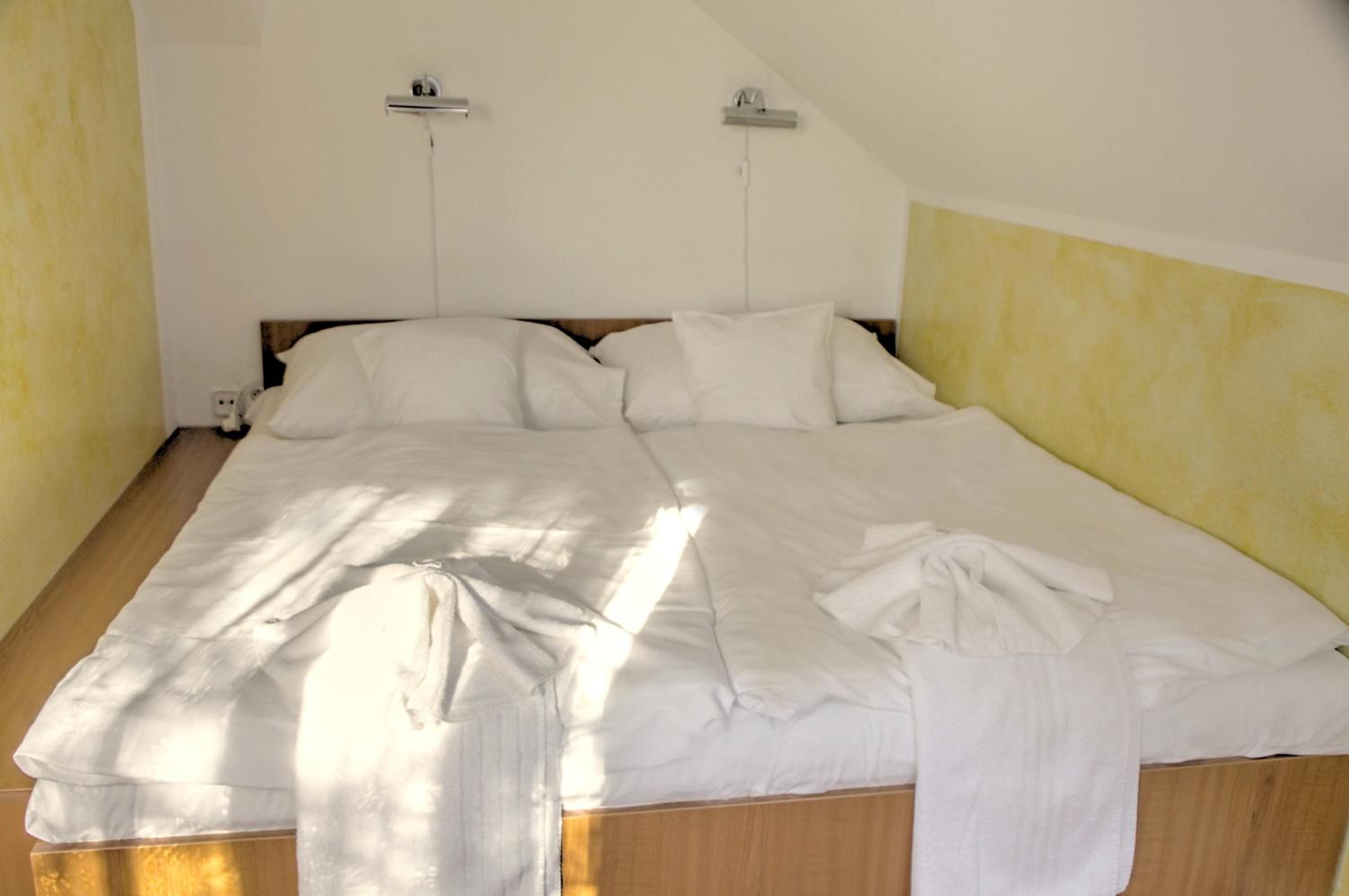 BIRDIE Pension & Wellness