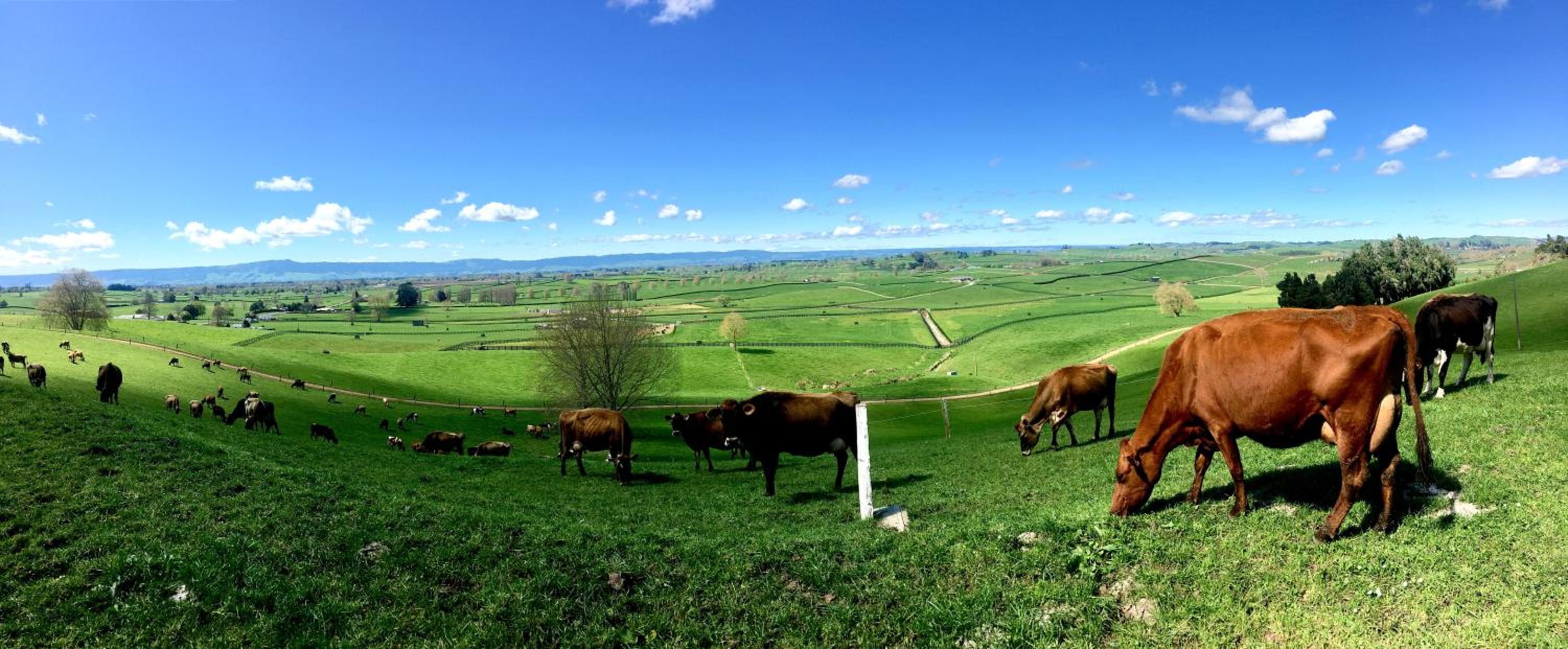 Country Retreat BnB view 2
