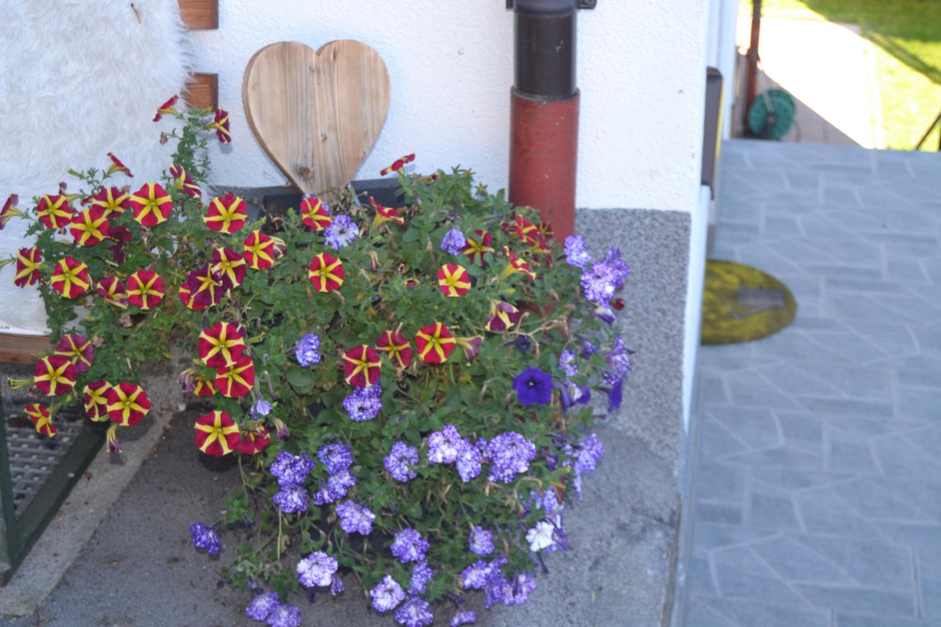 Appartement Ewald Siller