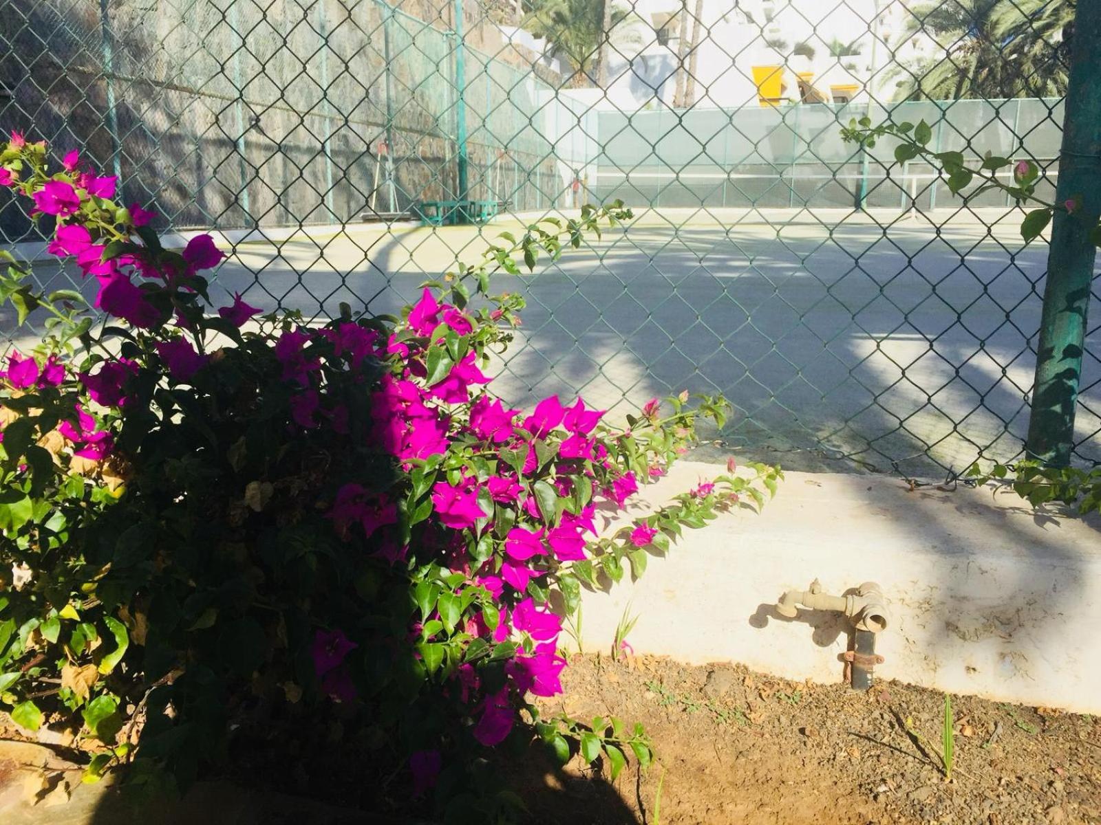 Photo 31