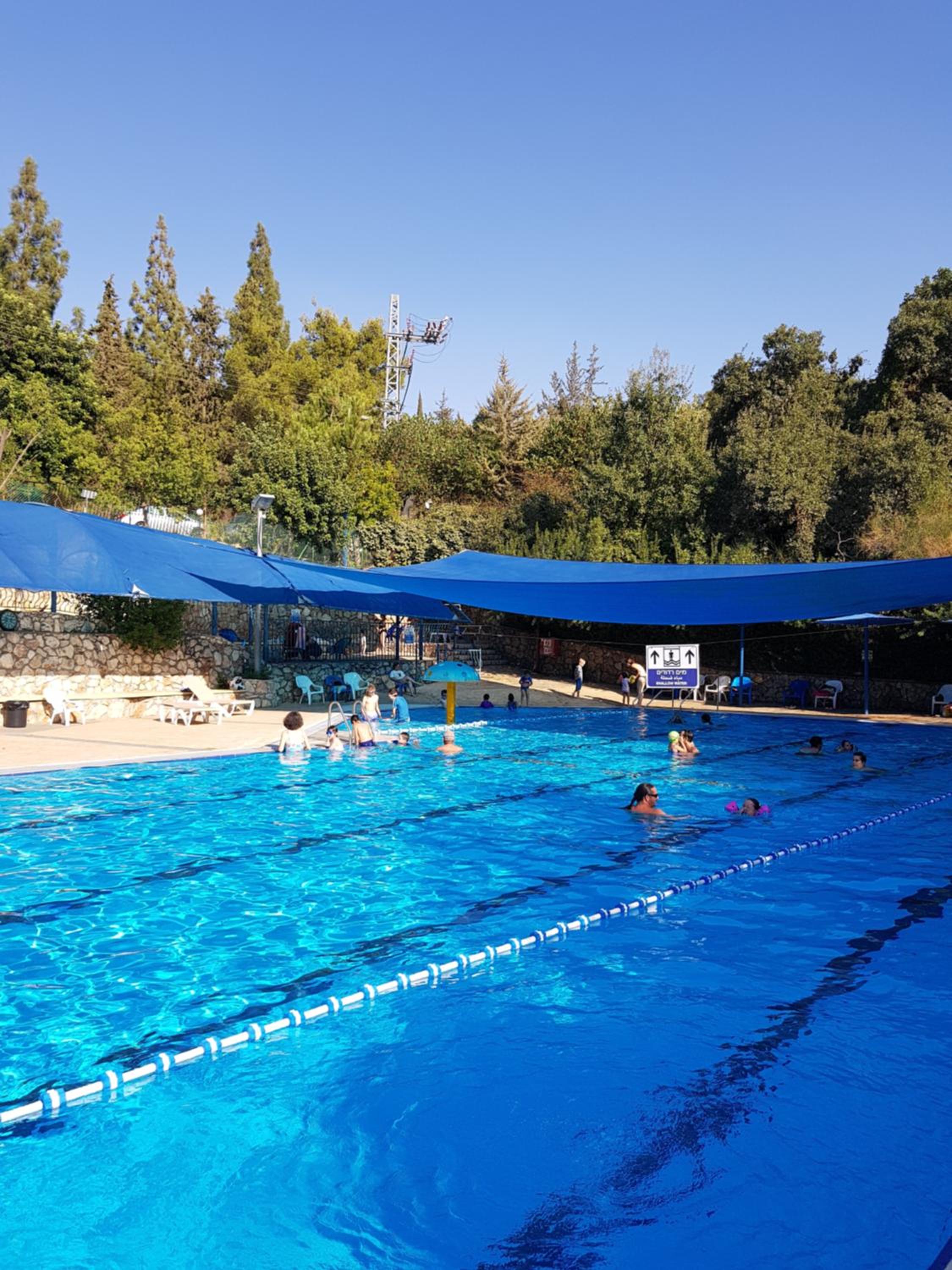 Bloom's Studio הסטודיו של בלום - Image 3